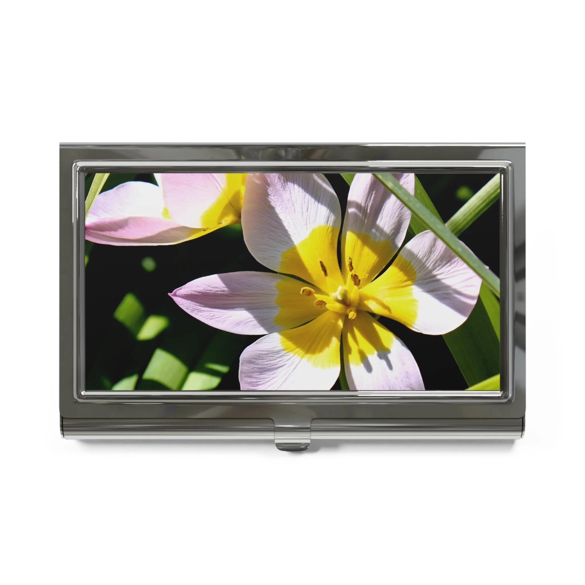 8232e5c22c9b24e8ab620413f85b48b5