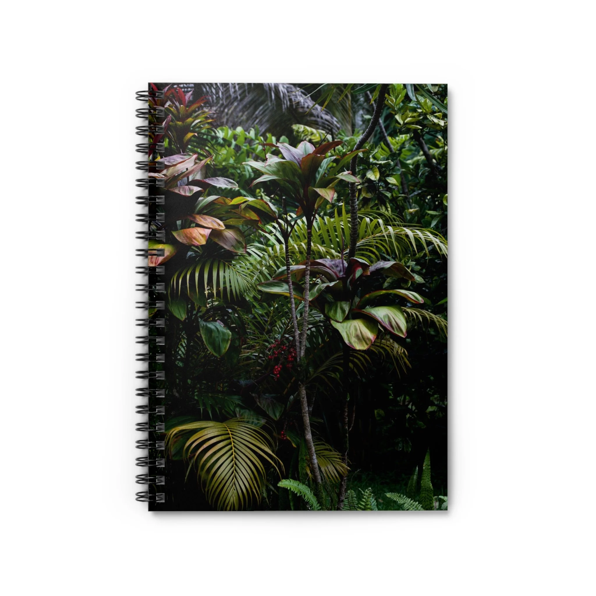 939b23393f1173d0700cfdc1b86ba5a7