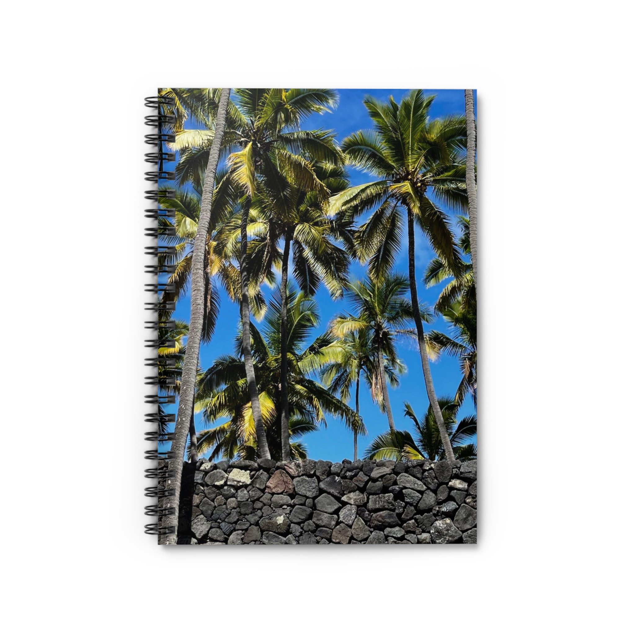 20e390d8cd87b3a07f8ae7410f09951a