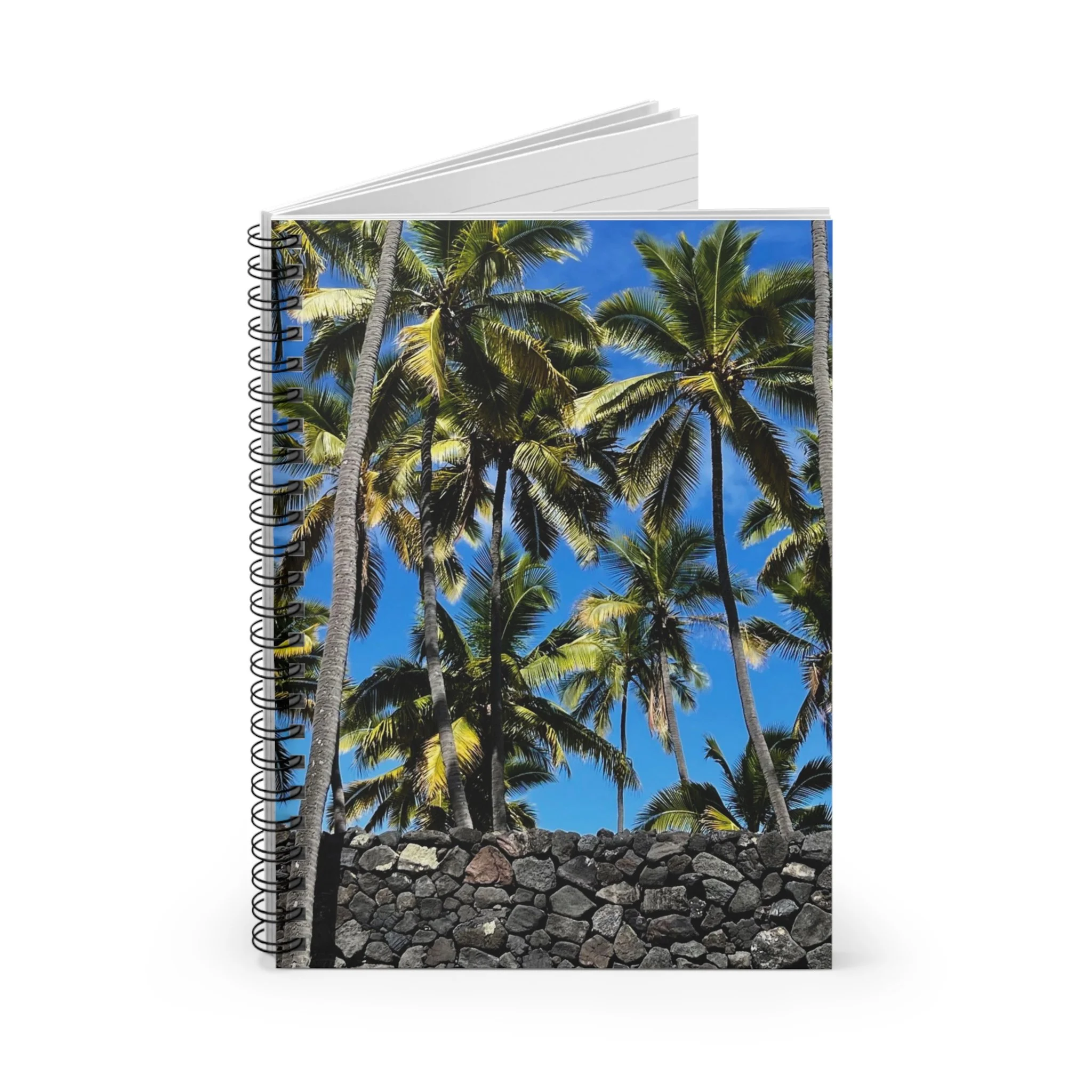 3621de57dc56c7dbfd46ef72d51f1dce