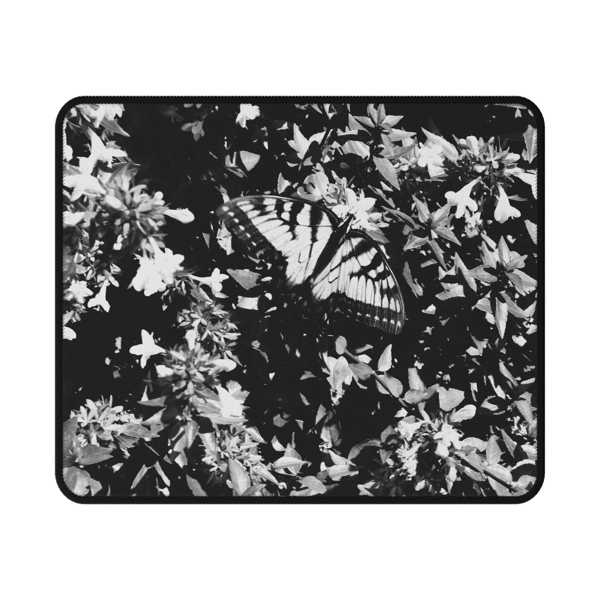 b75ff8f91a9c9744642714454a6e689b