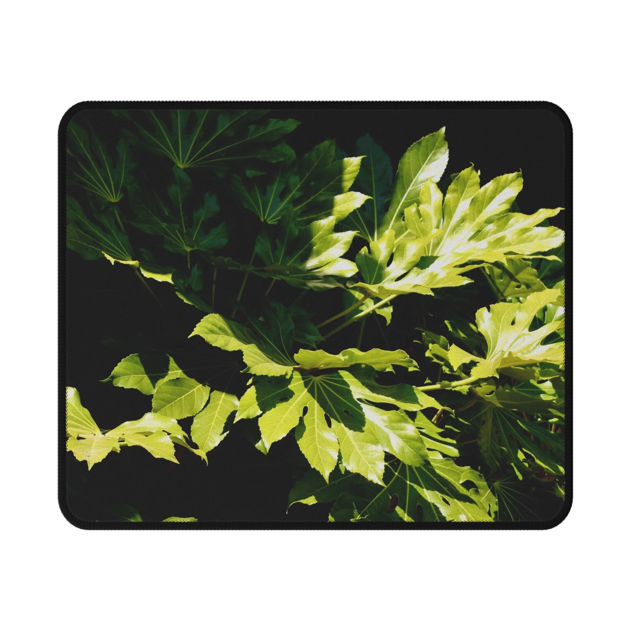 12515e72b009243646544827f31a9ecc