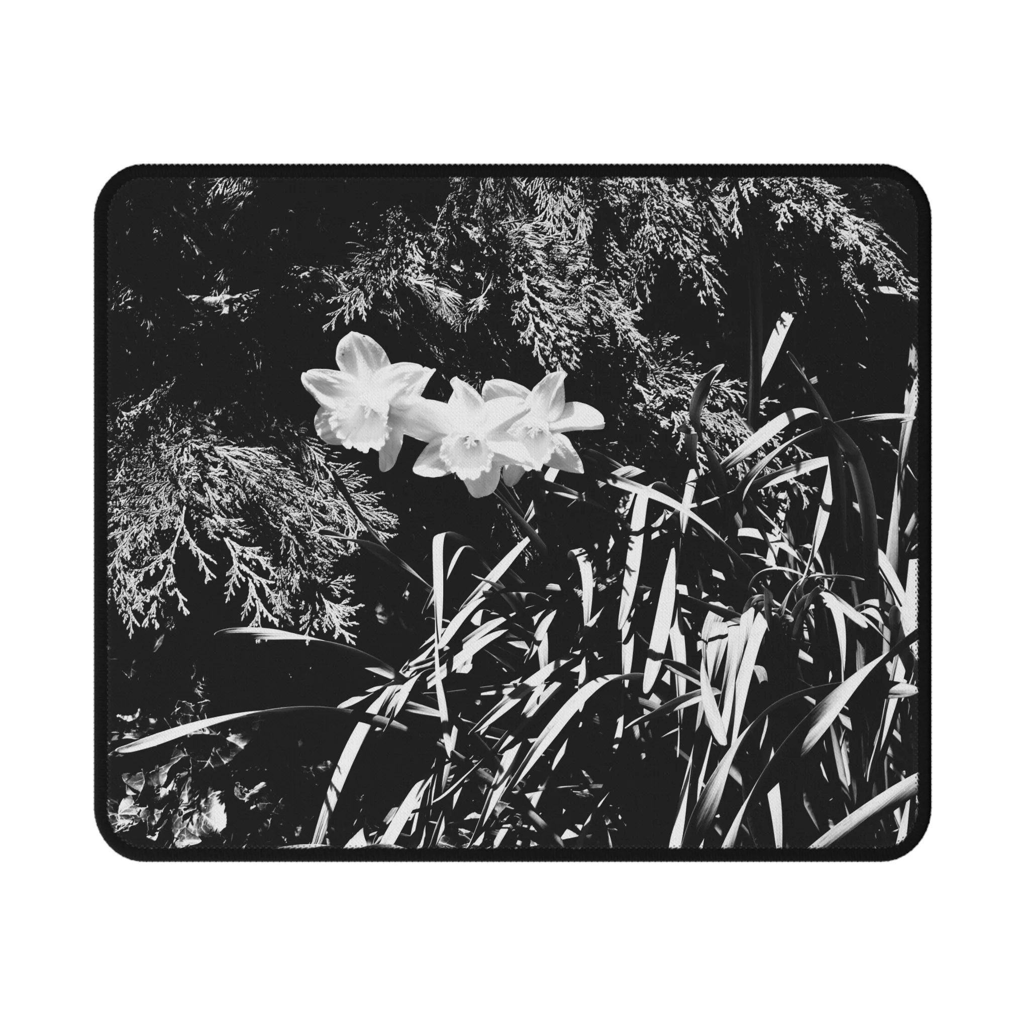 926f16add6e3afafcc652f8da66108ac