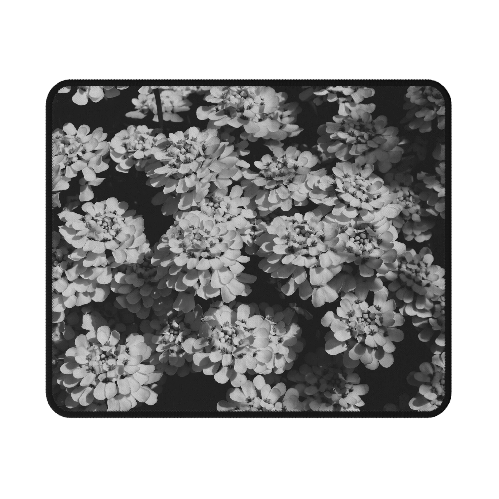 766fe48b56a62535cb200330da40a26e