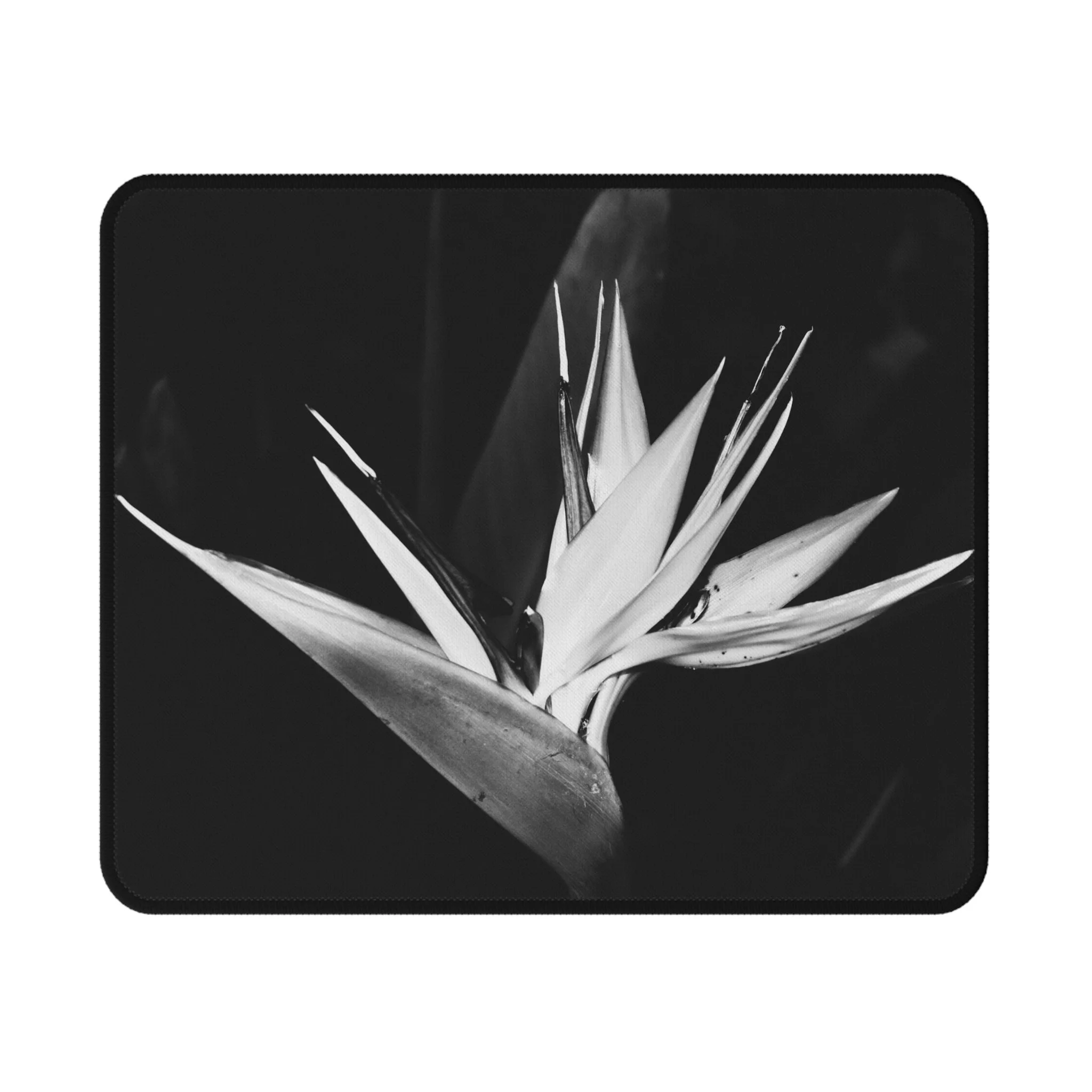 be30d534a974babb8bcc77f5ce07eaca