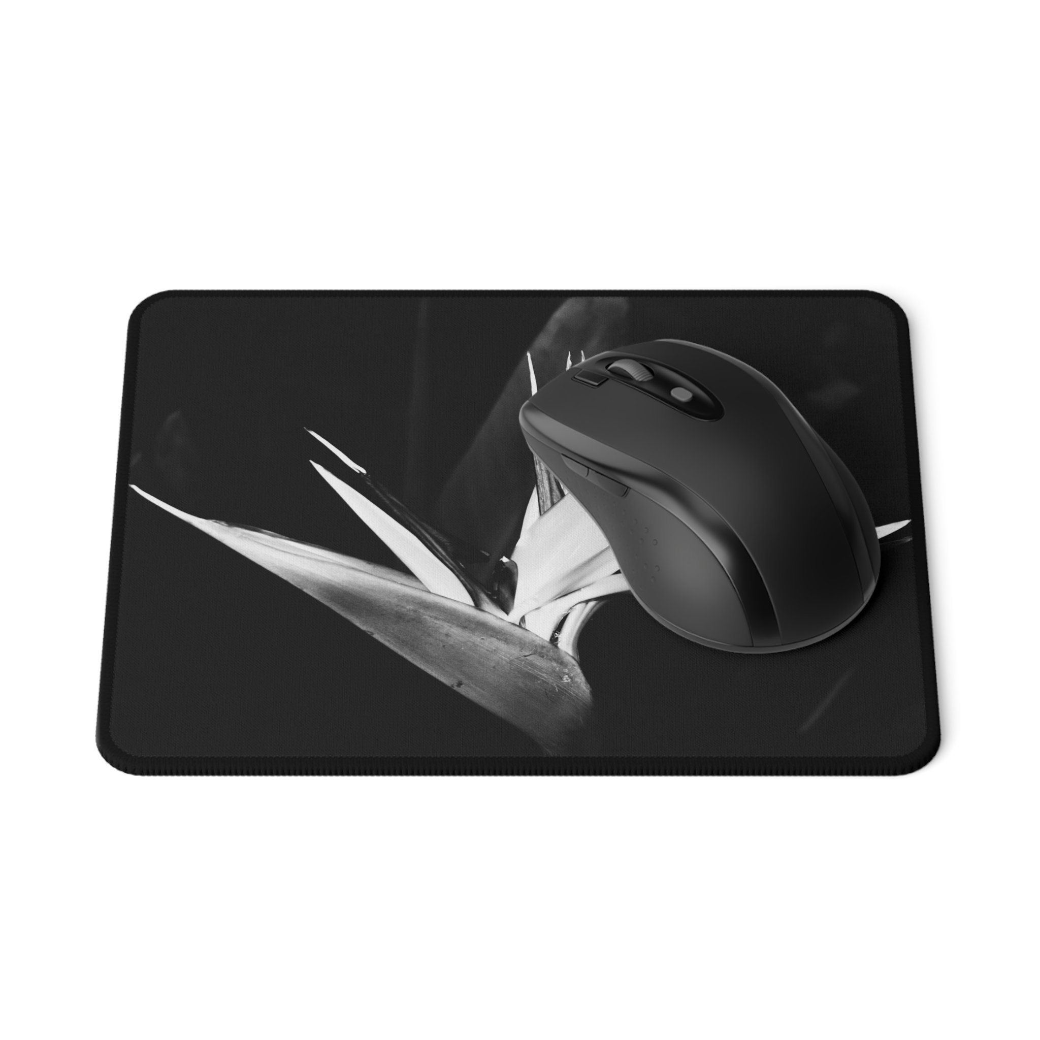 32b26ca7fb59aa002214e399d2b93b9e