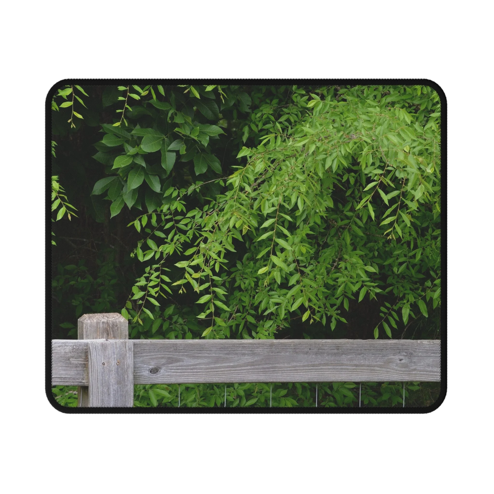 7d63b2521a26b956d62f30fa7c859312