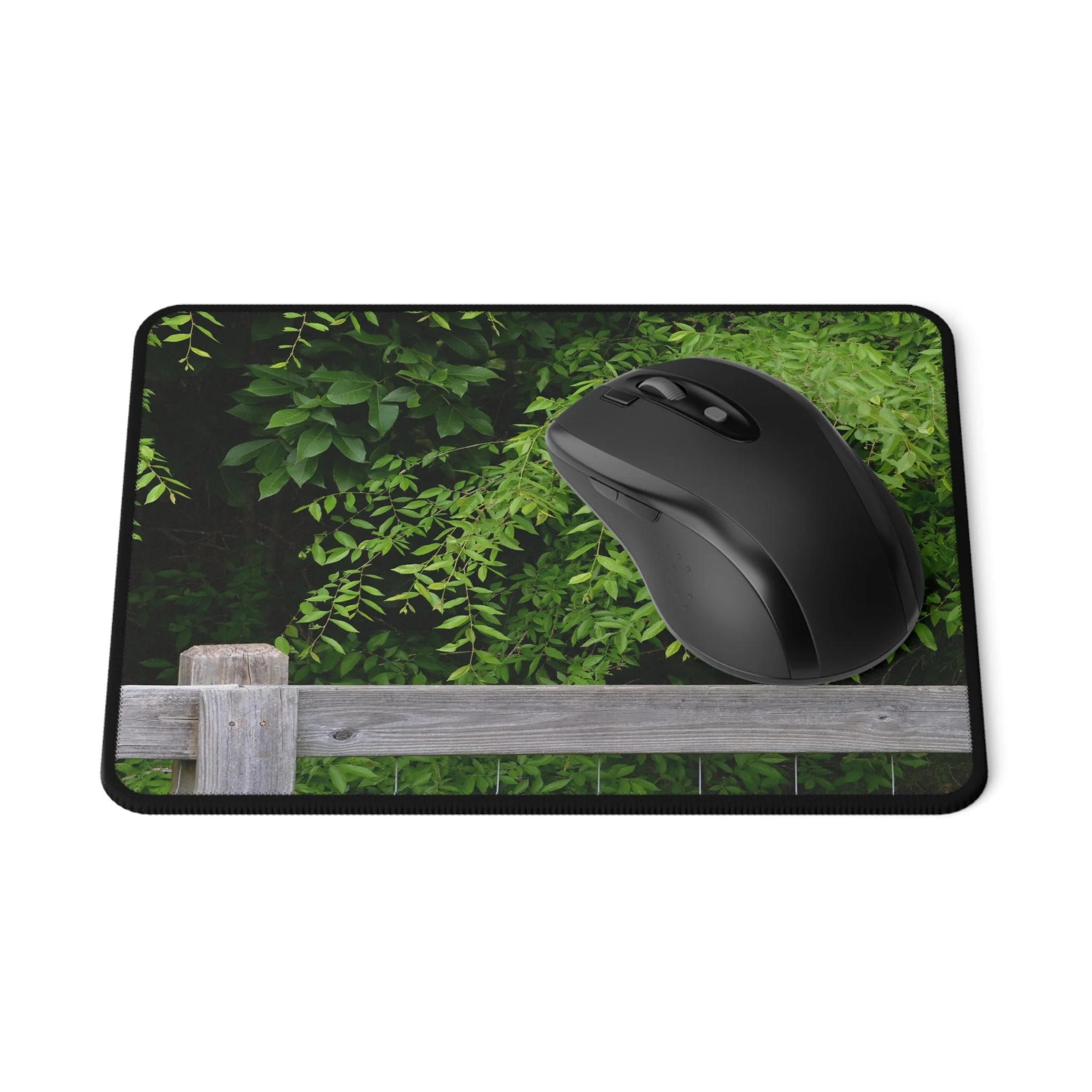 d5d8a9d619ba3d7d2cceb0244d6a248a