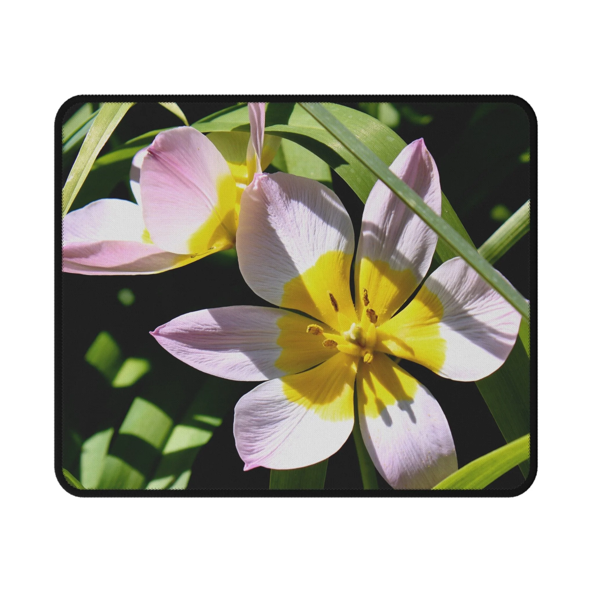 51309d477e08fa39d5afb51f10ca8ded