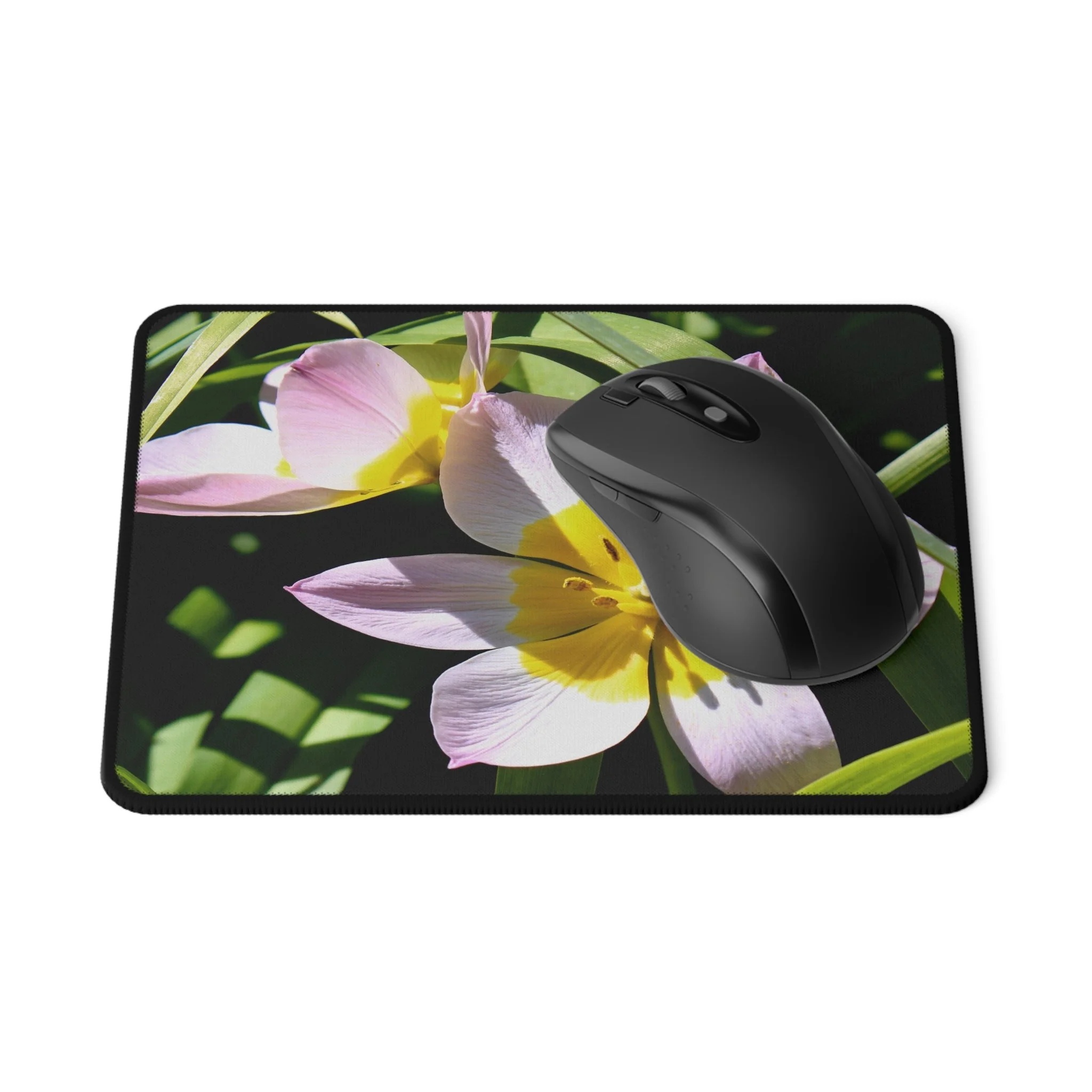 ef0eb13b43945e09d5209cb2bdf9d72a