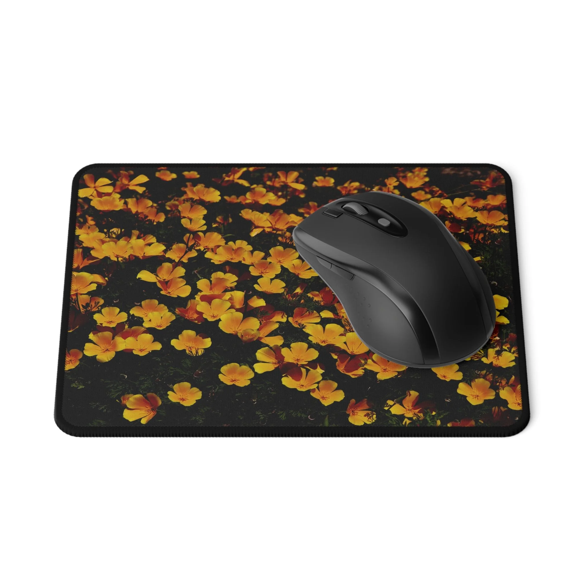 56a86e8b7ead29450724e05de42d1936