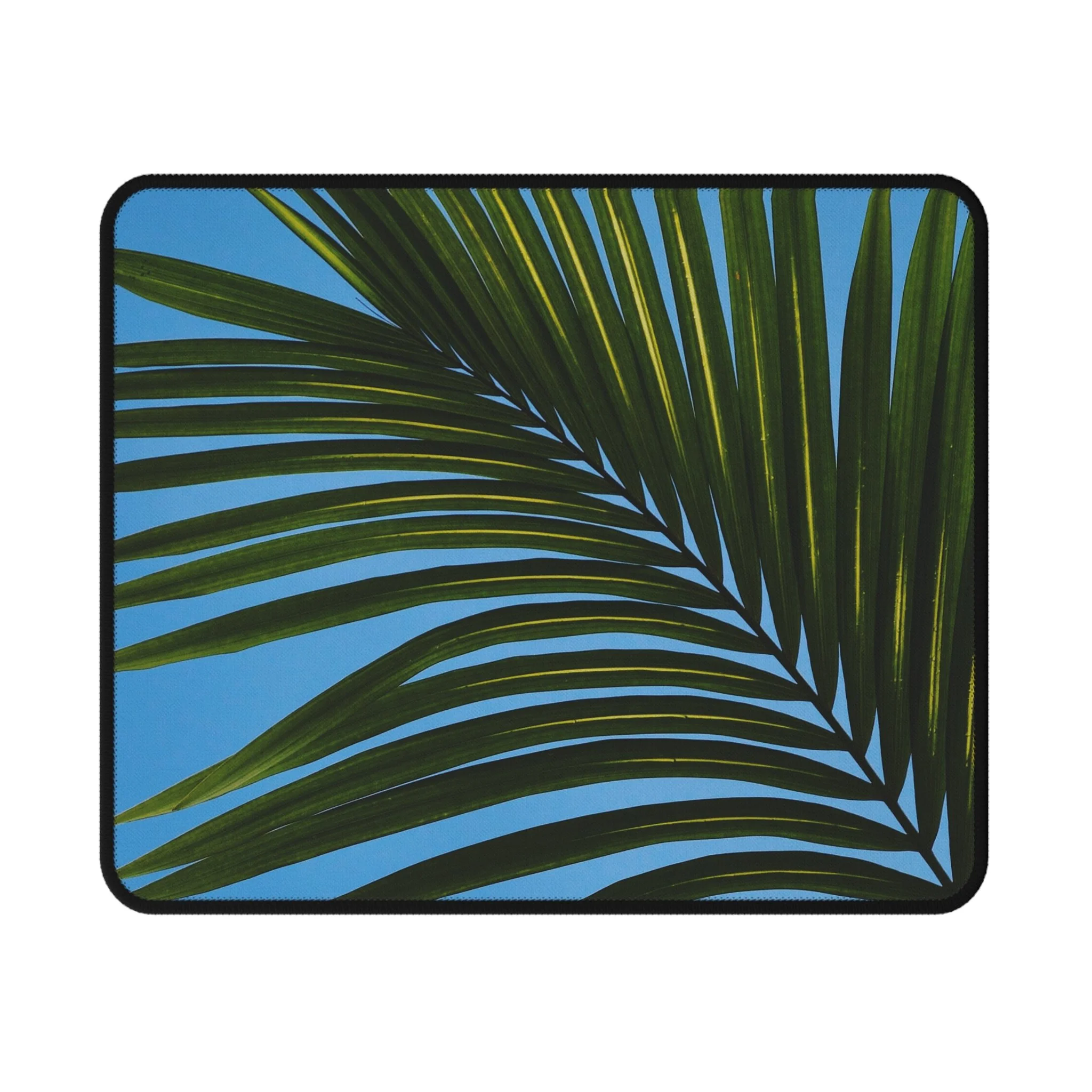 4549789ce3dda9ca273e29f5e13e5b0c