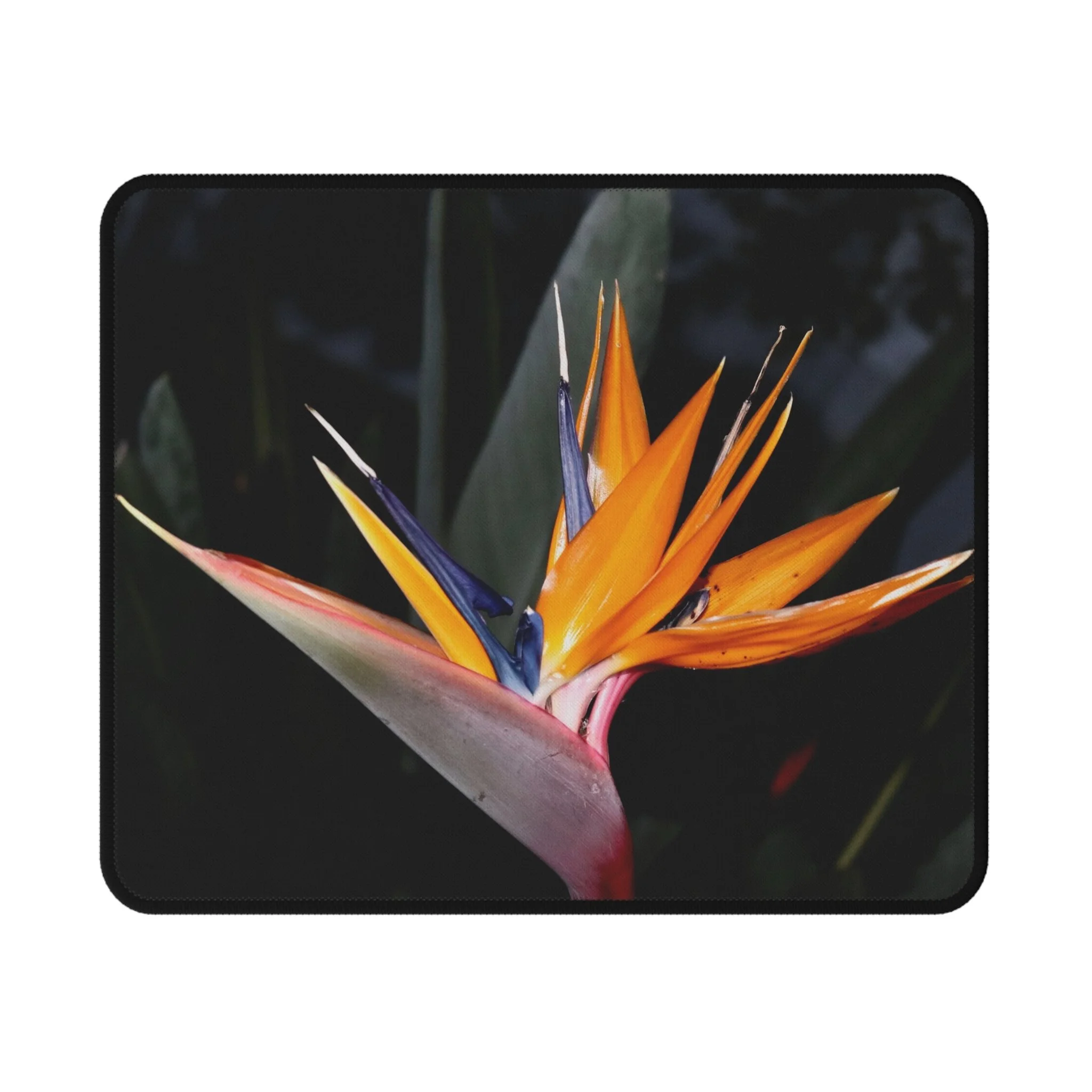 7af4ac4a047205ba678f8d1d1a43b0f9