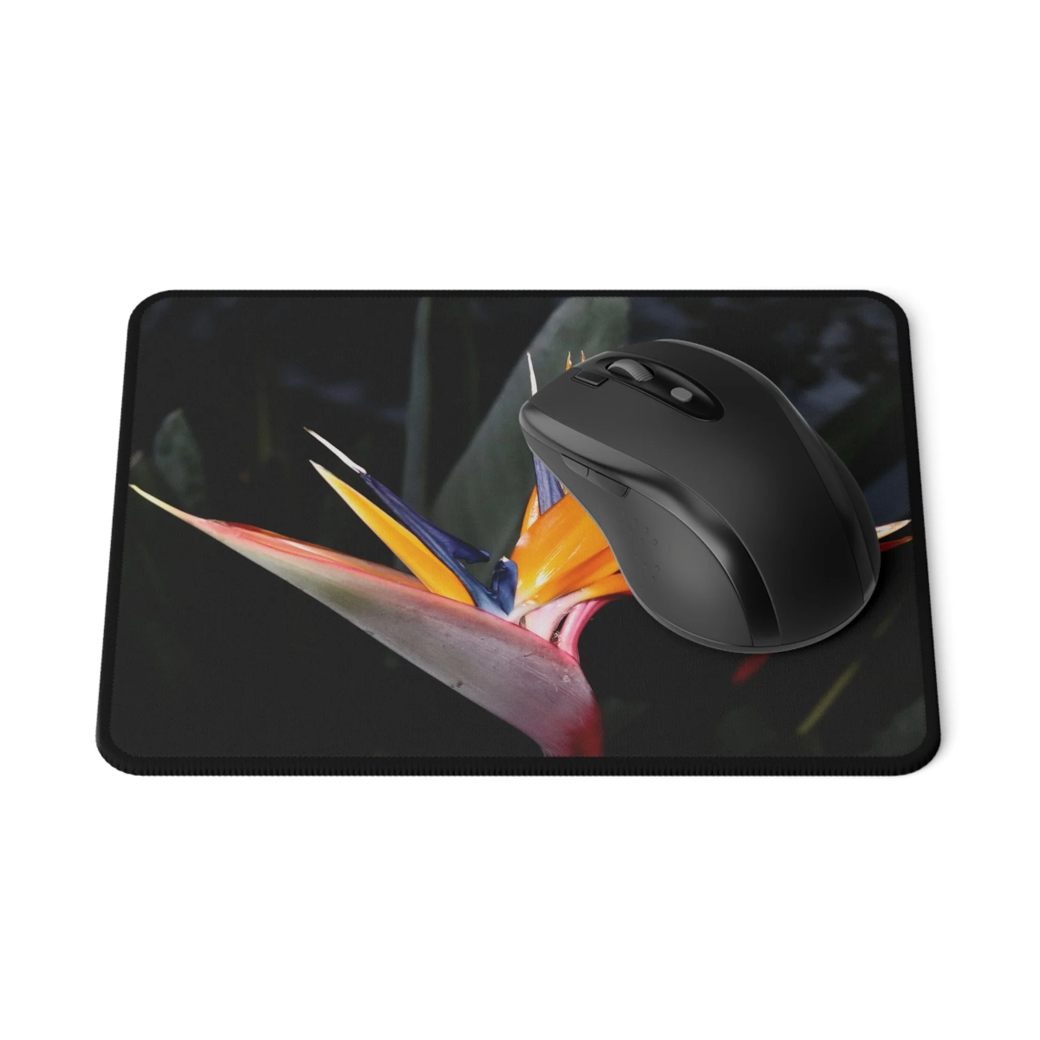 1d0396e96de2cc121ea171fd06476600