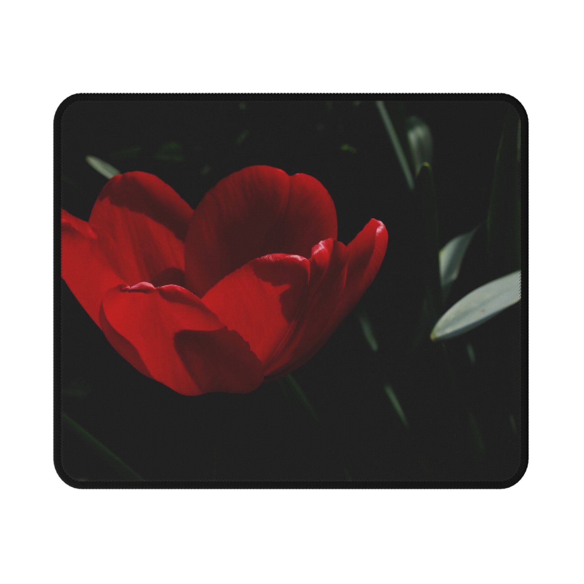 e225e52e45726017b8b34b97cf463170