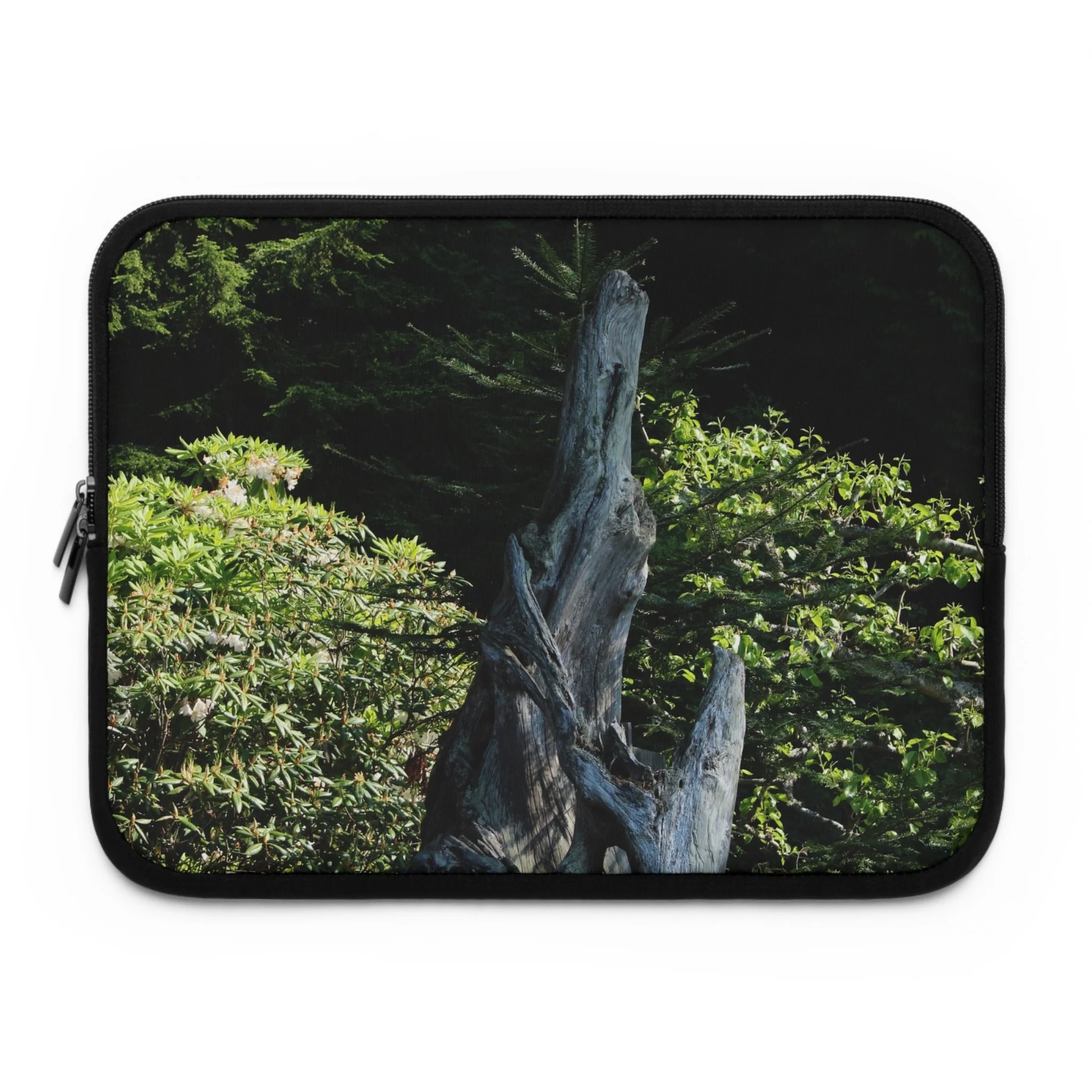 c2390e74e63e1e33bb0483d95f7c01f5