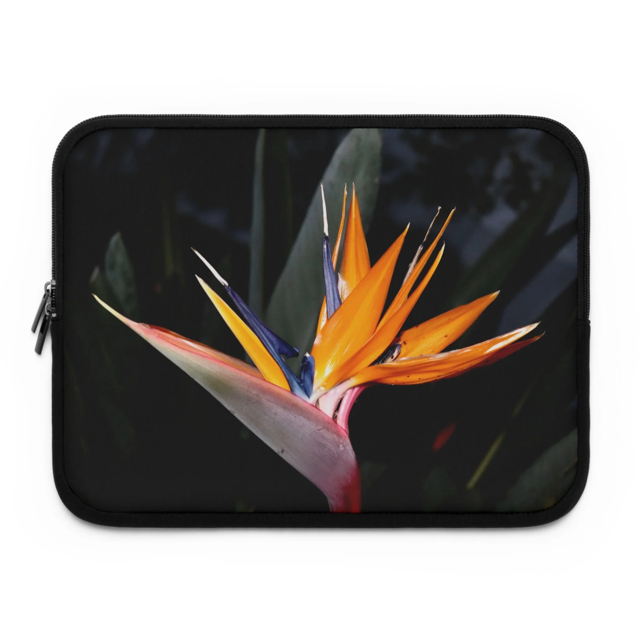 dc3d2a8033f0068b5faa1312104ede54