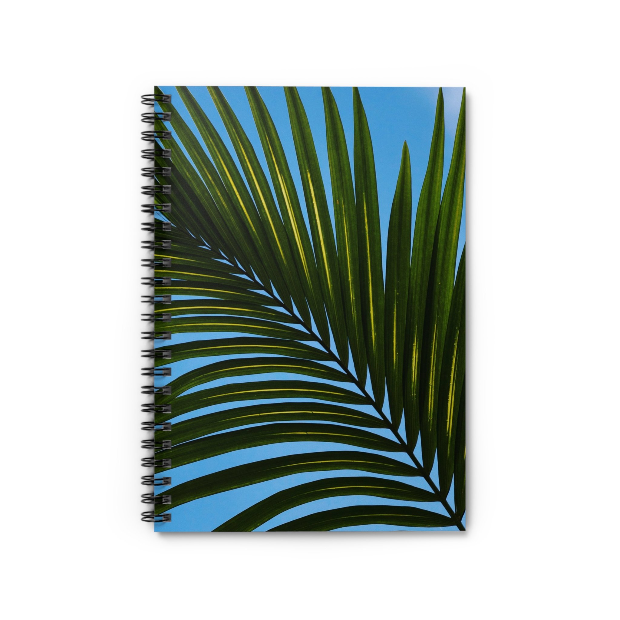 b6c63d0e02a29c74d01bf2446f2f1103