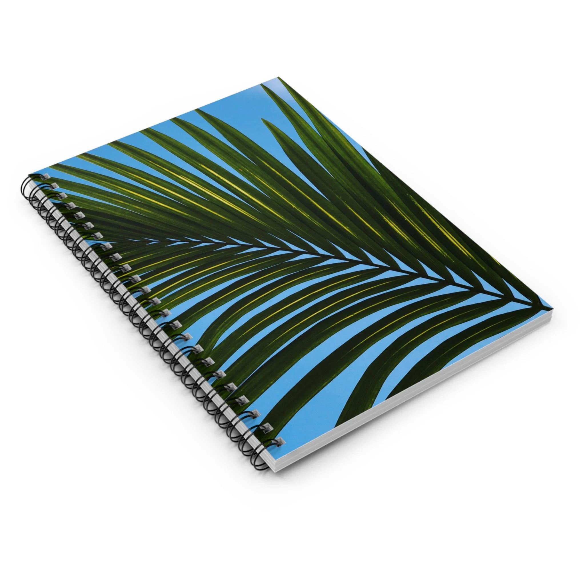 6913e17d6f3a094161b1e758e8cbafde