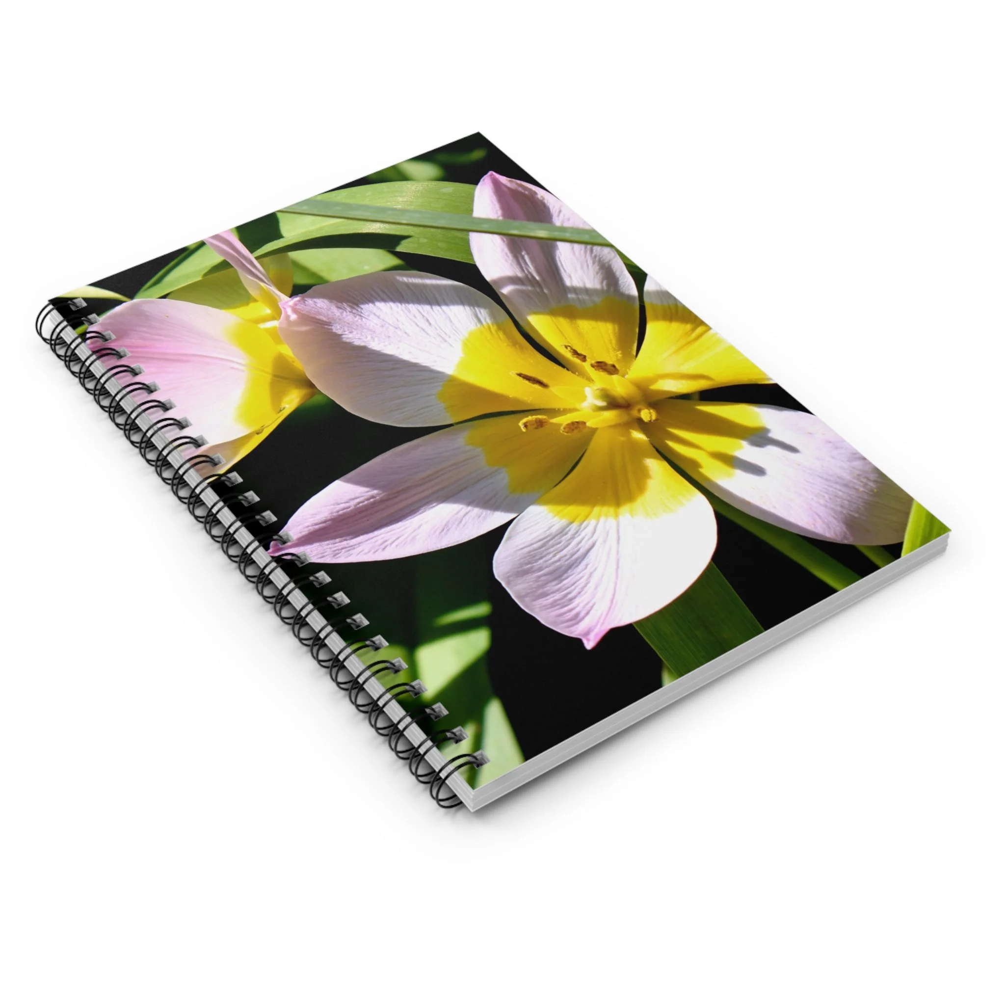 ad778b9e4f4ec556b9adf995ec29bd89