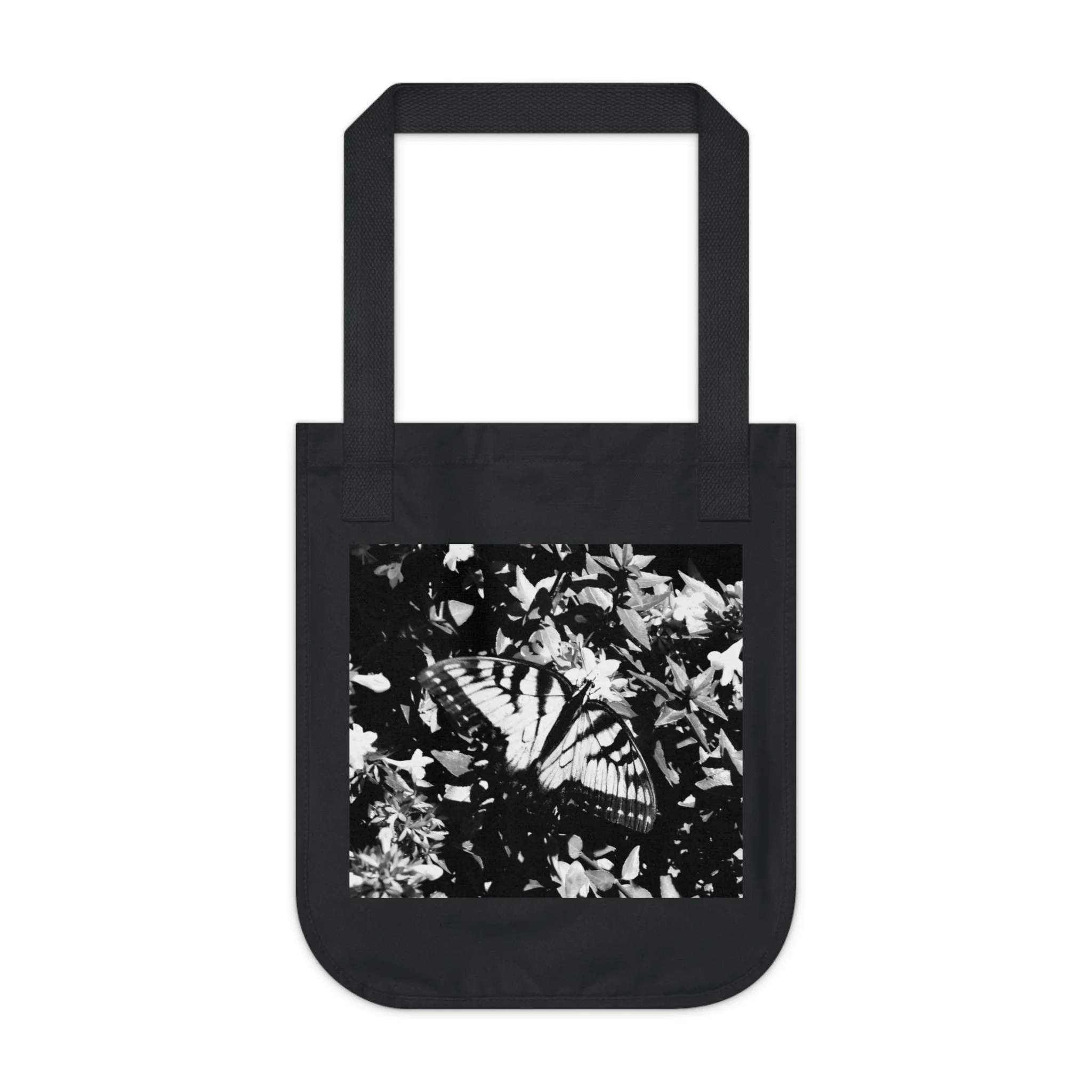 53b894389b43eac105c0cb065a43e477