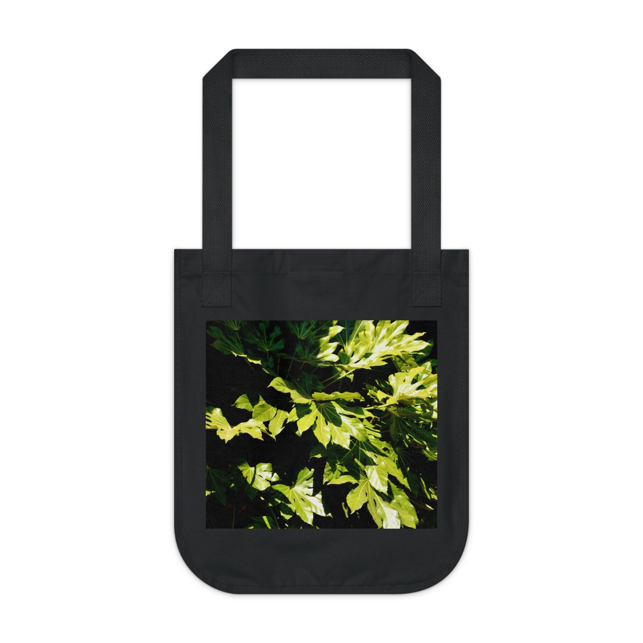 73dac3a783be67ea58a8eb84fade4666