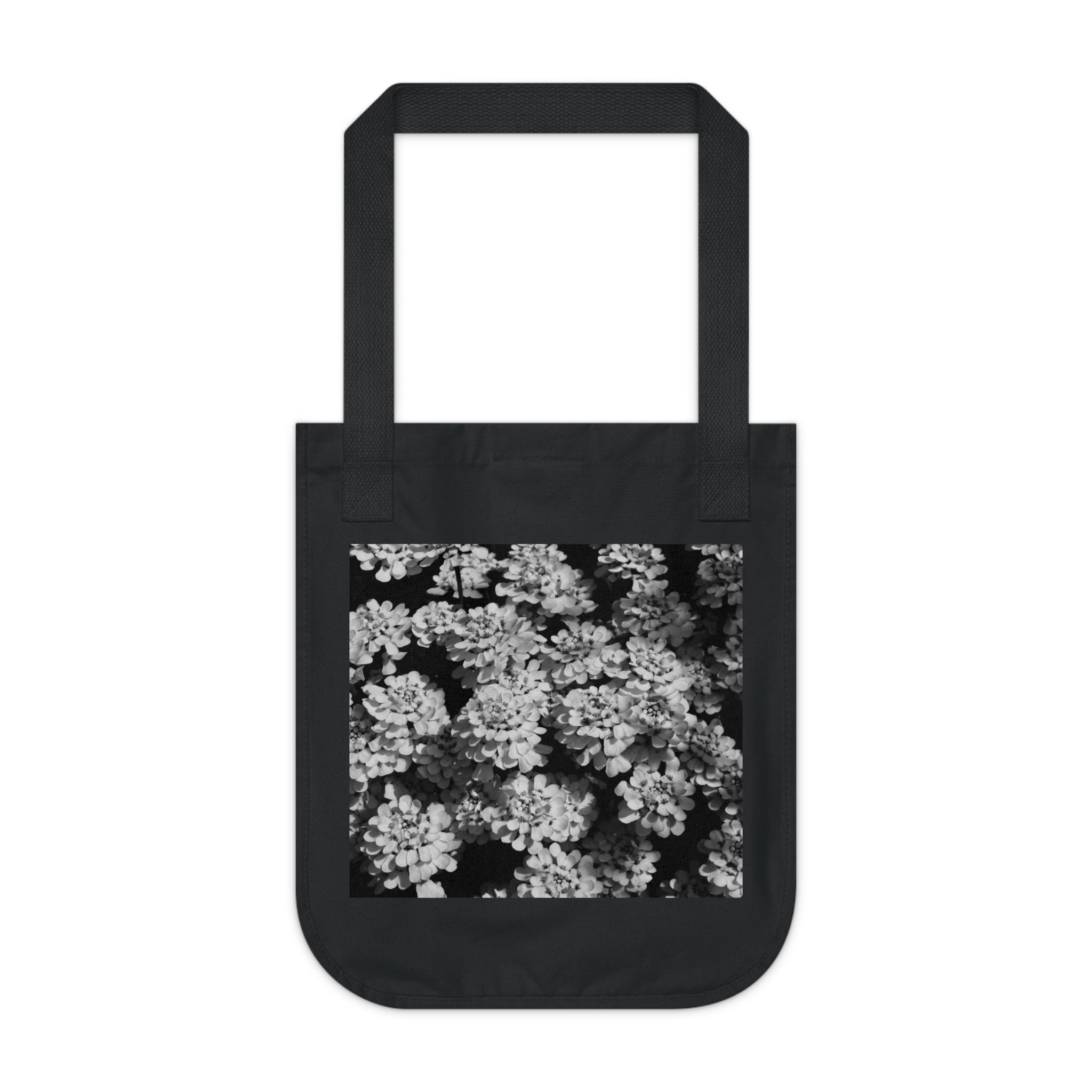 1275e713d05605d14a18bf9921aae586