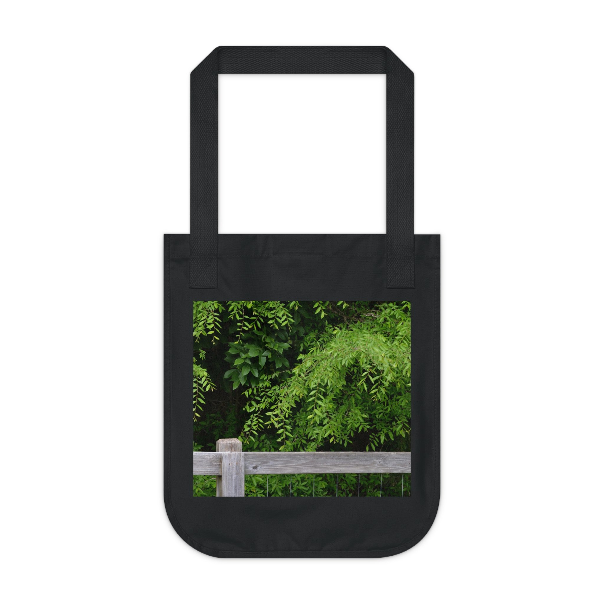 c09e6dbf8ccf54349c0753506802983a