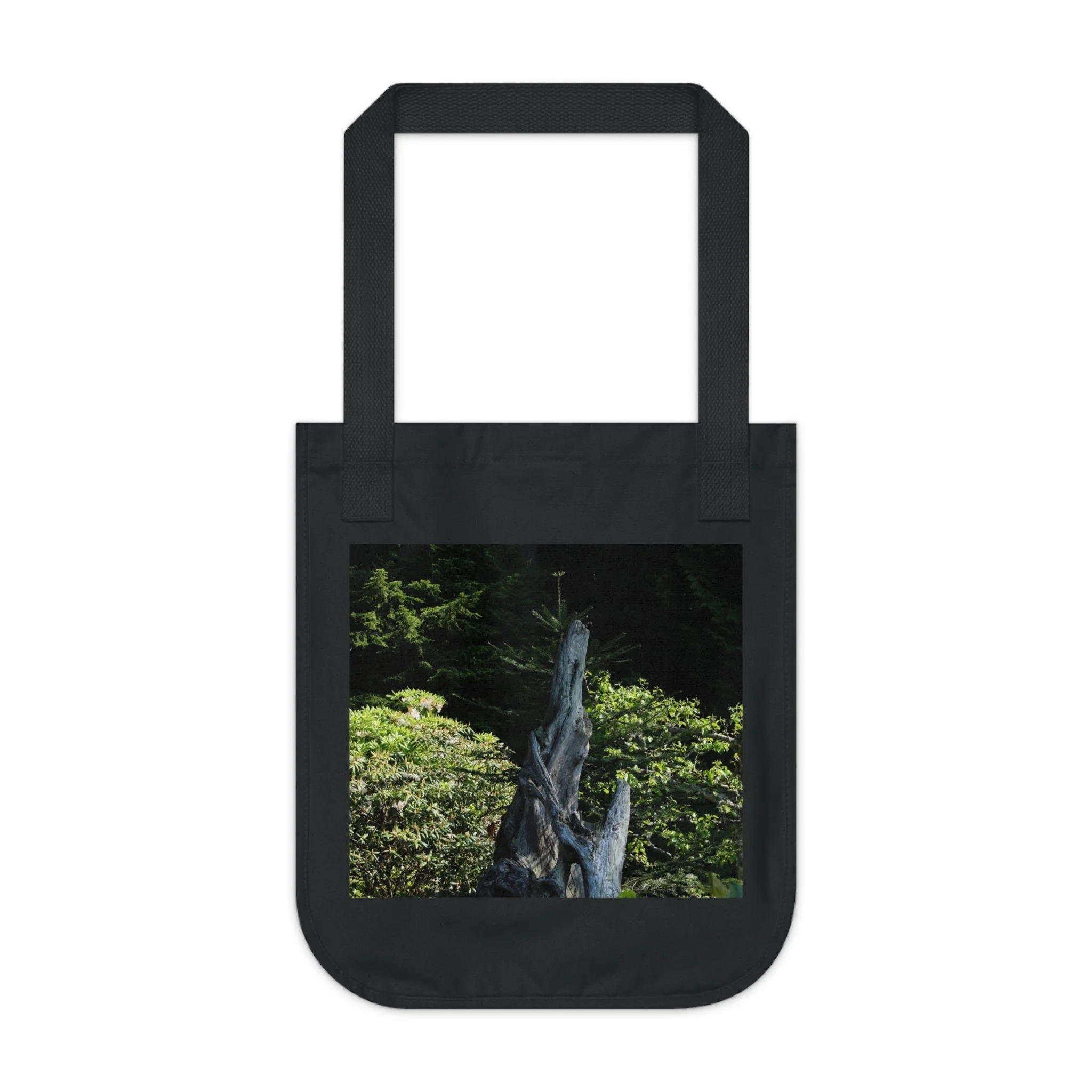 10f5fa1d5761112f0cdf8c487b7c1563