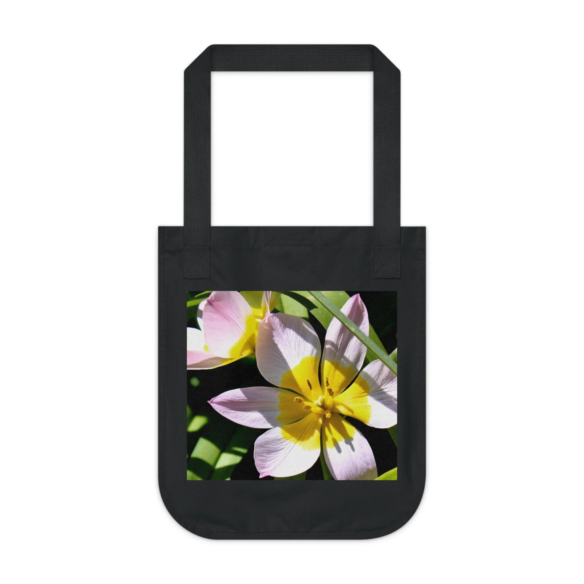 2a0aeb4d82fe551b3ebfdc7336c54a8d