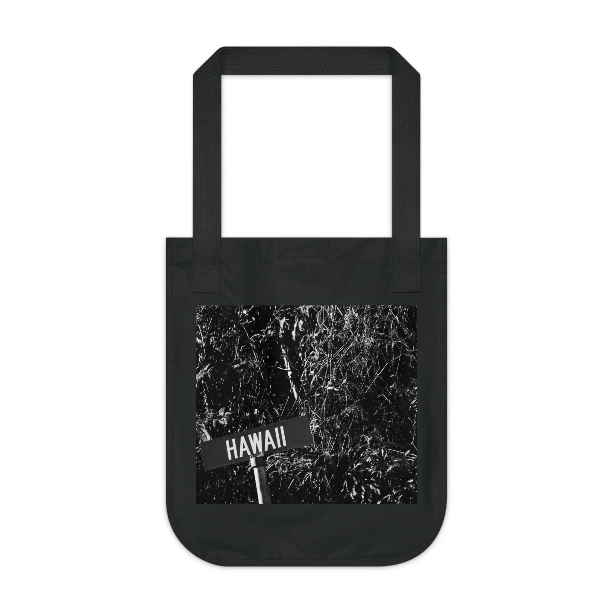 c26826fef08b06b979330335526e1e91