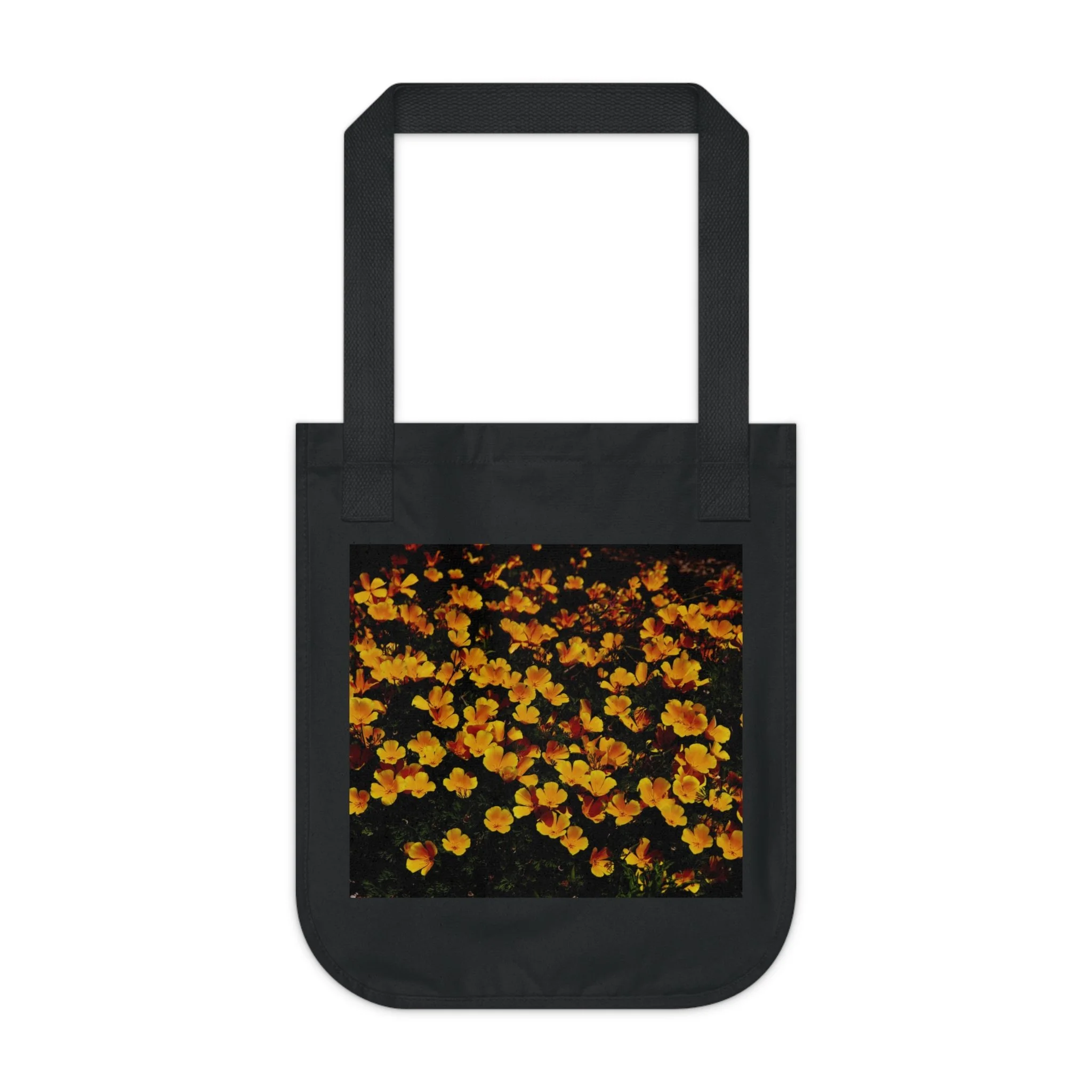 4c72df6165c21d1e9be03420c69e41e4