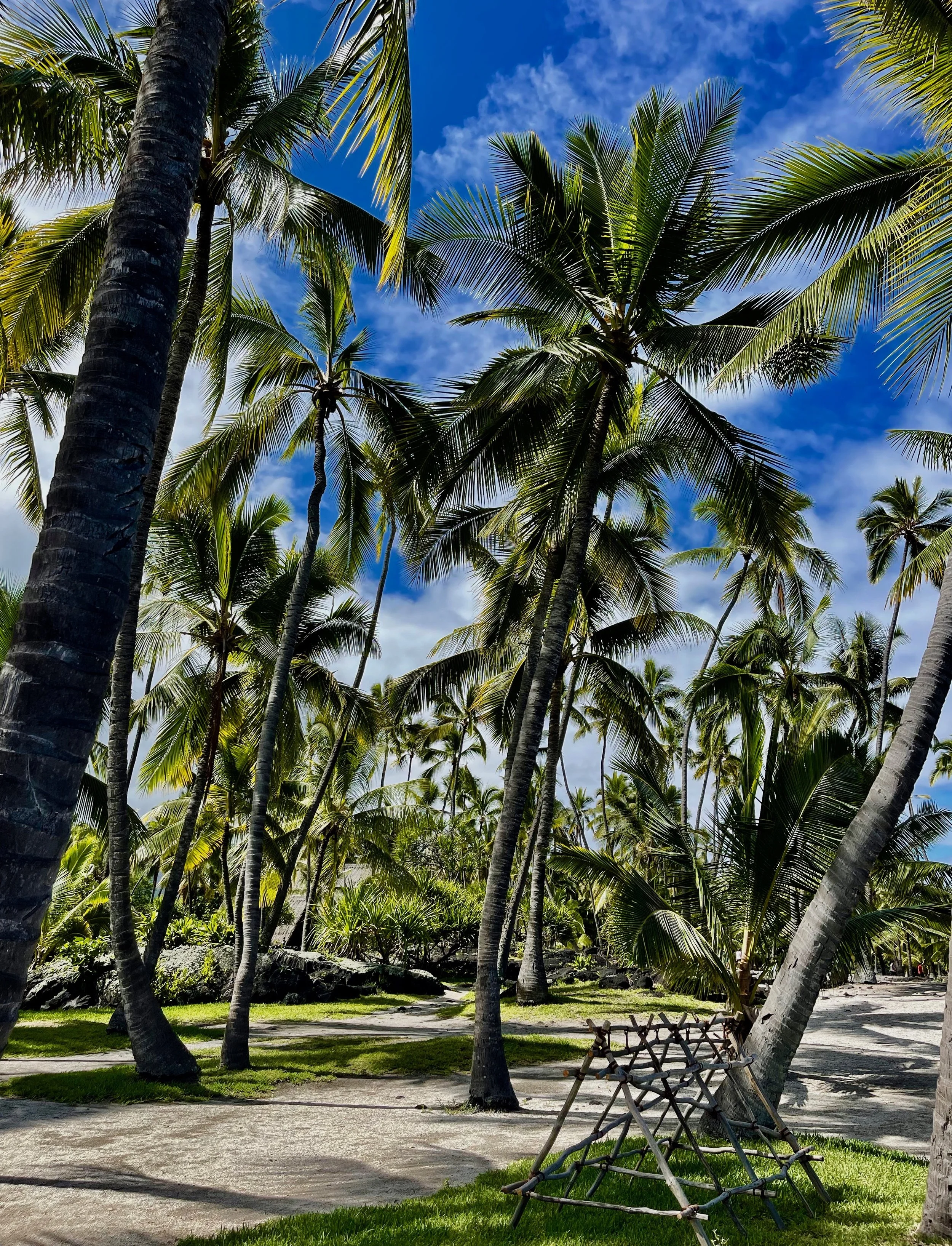 bigisland.jpeg