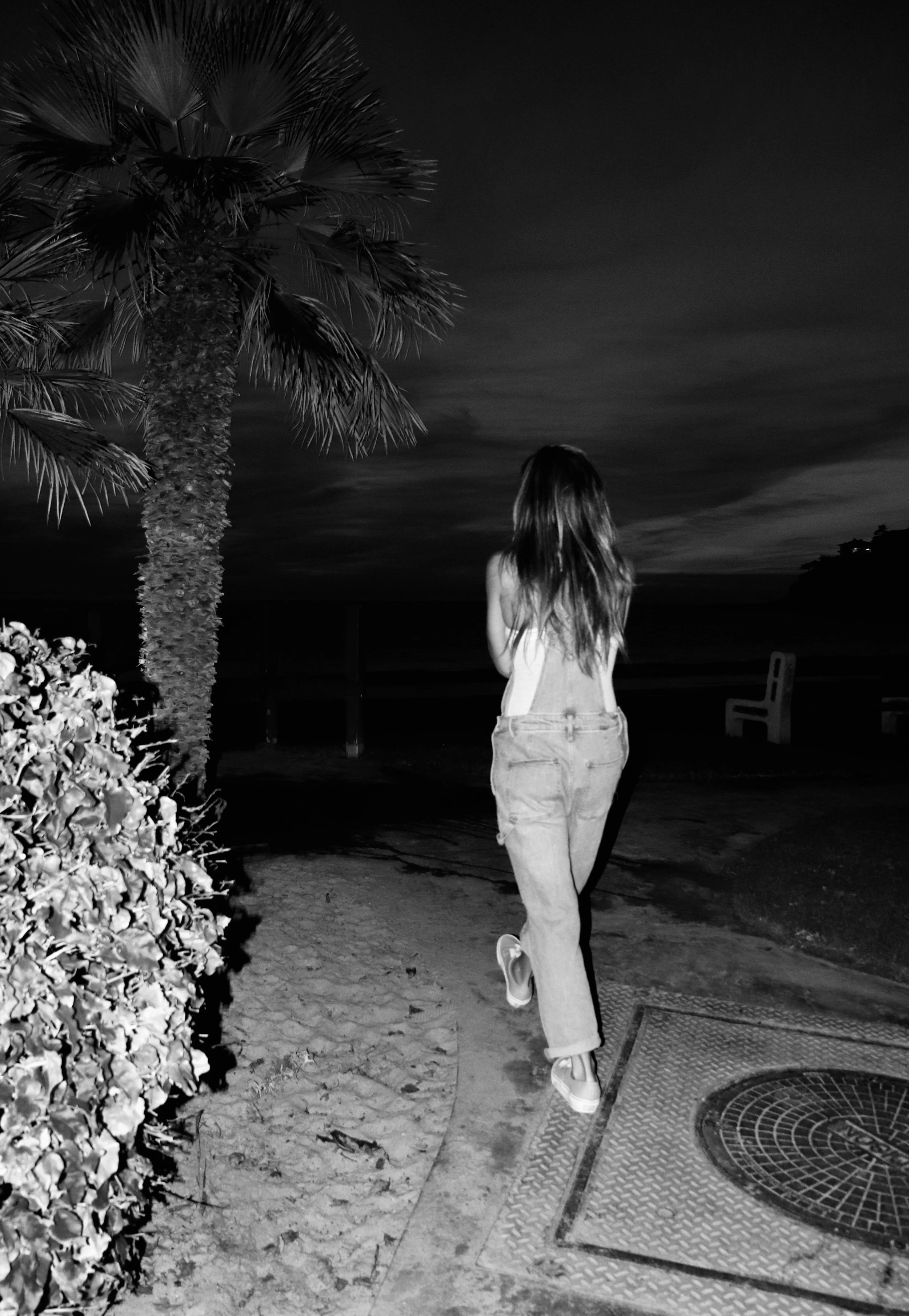 brittanynight.jpeg