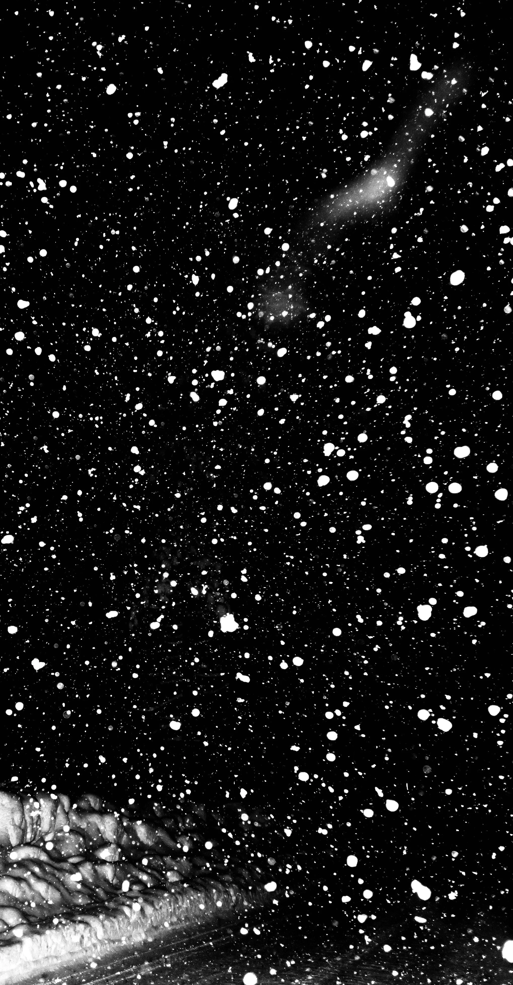 bxwdarksnows.jpeg