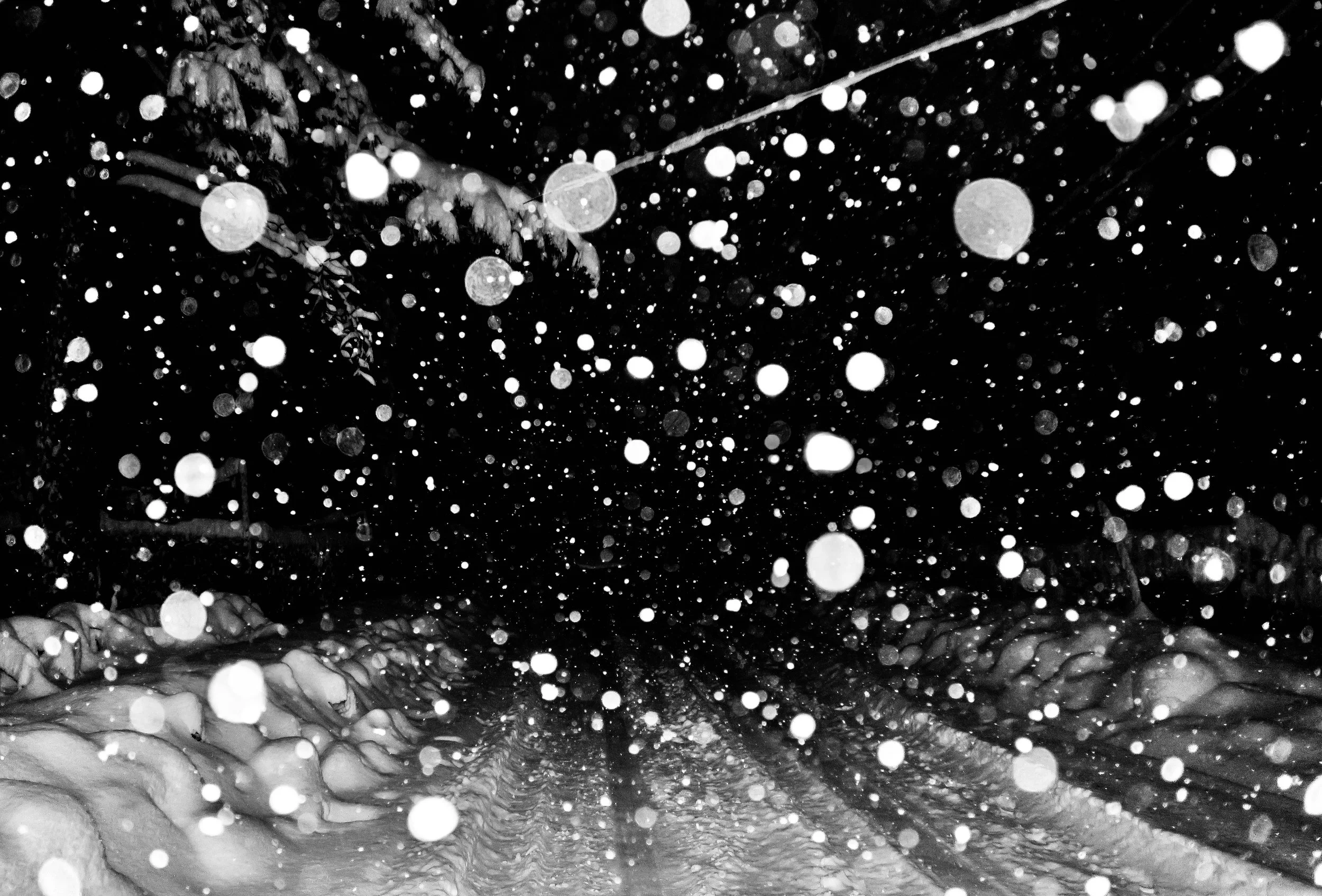 bxwsnowfall.jpeg