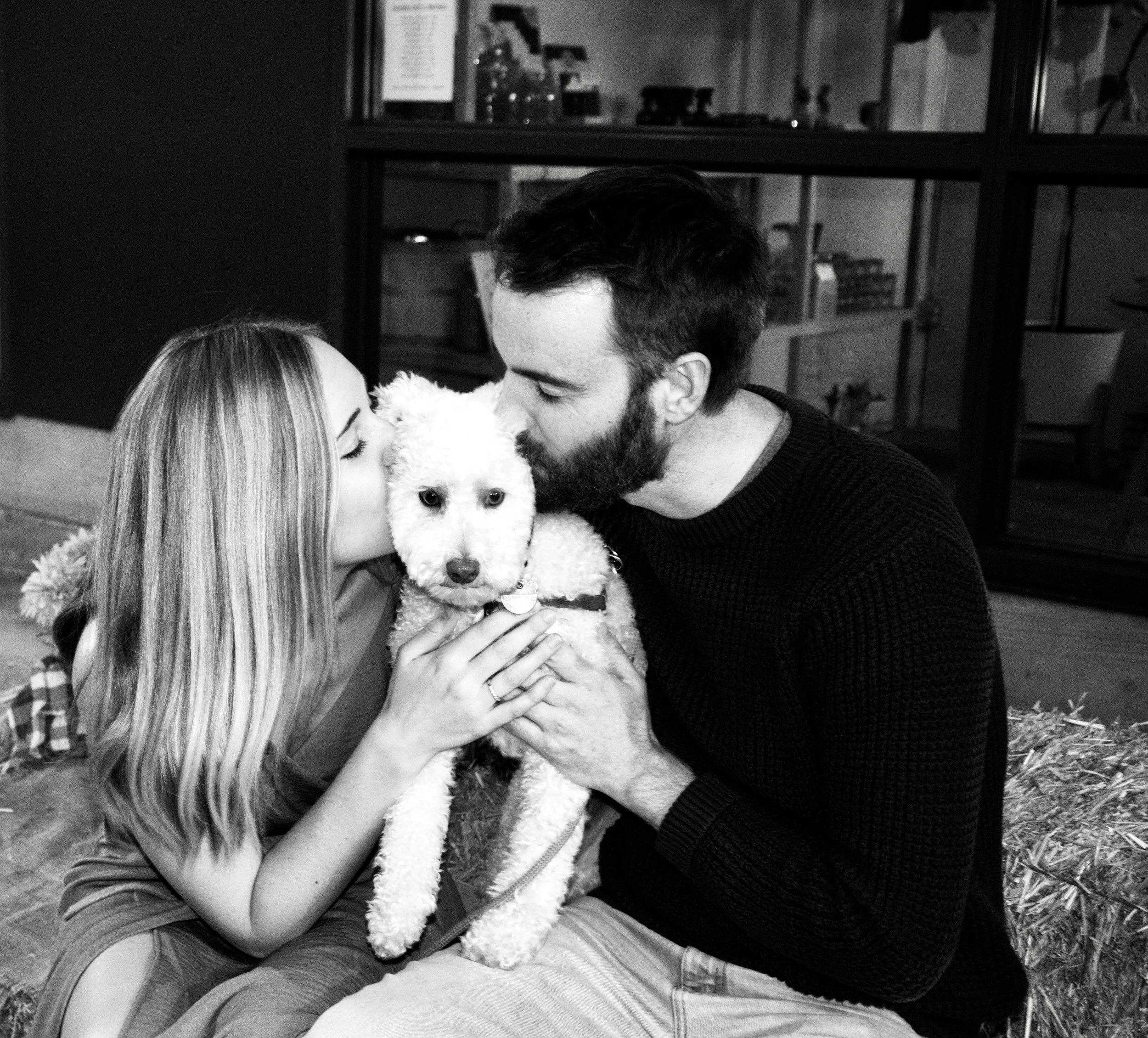 puppylove.jpeg