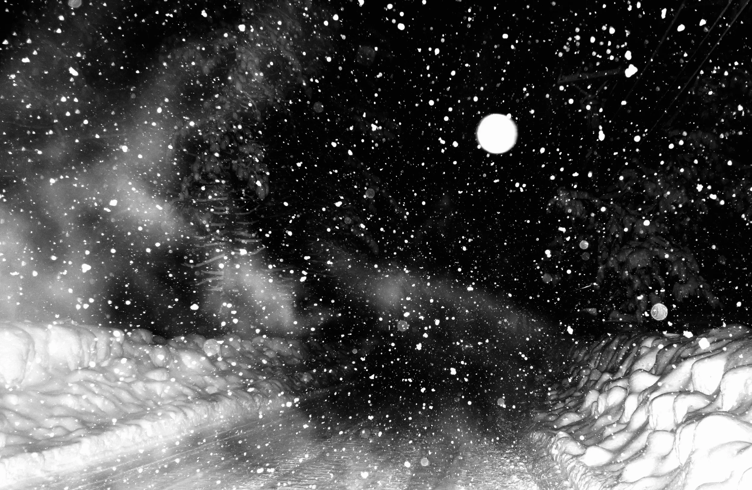 snowmoon.jpeg