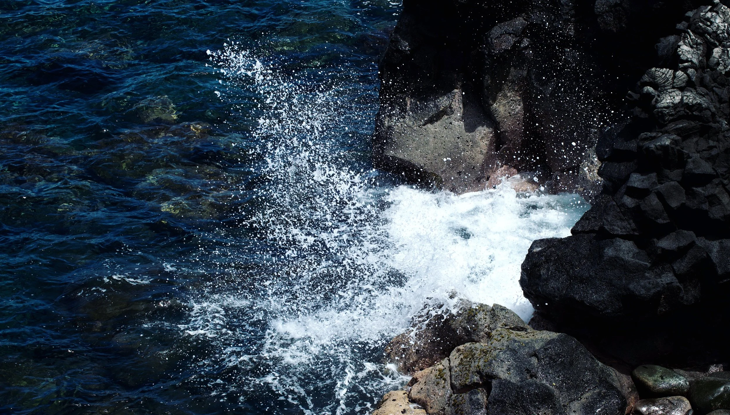 splash.jpeg