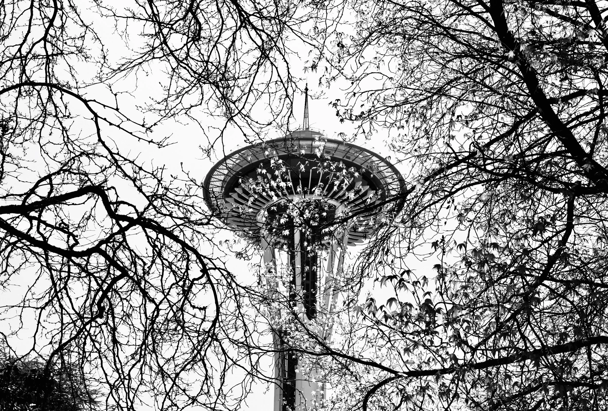 thespaceneedle.jpeg