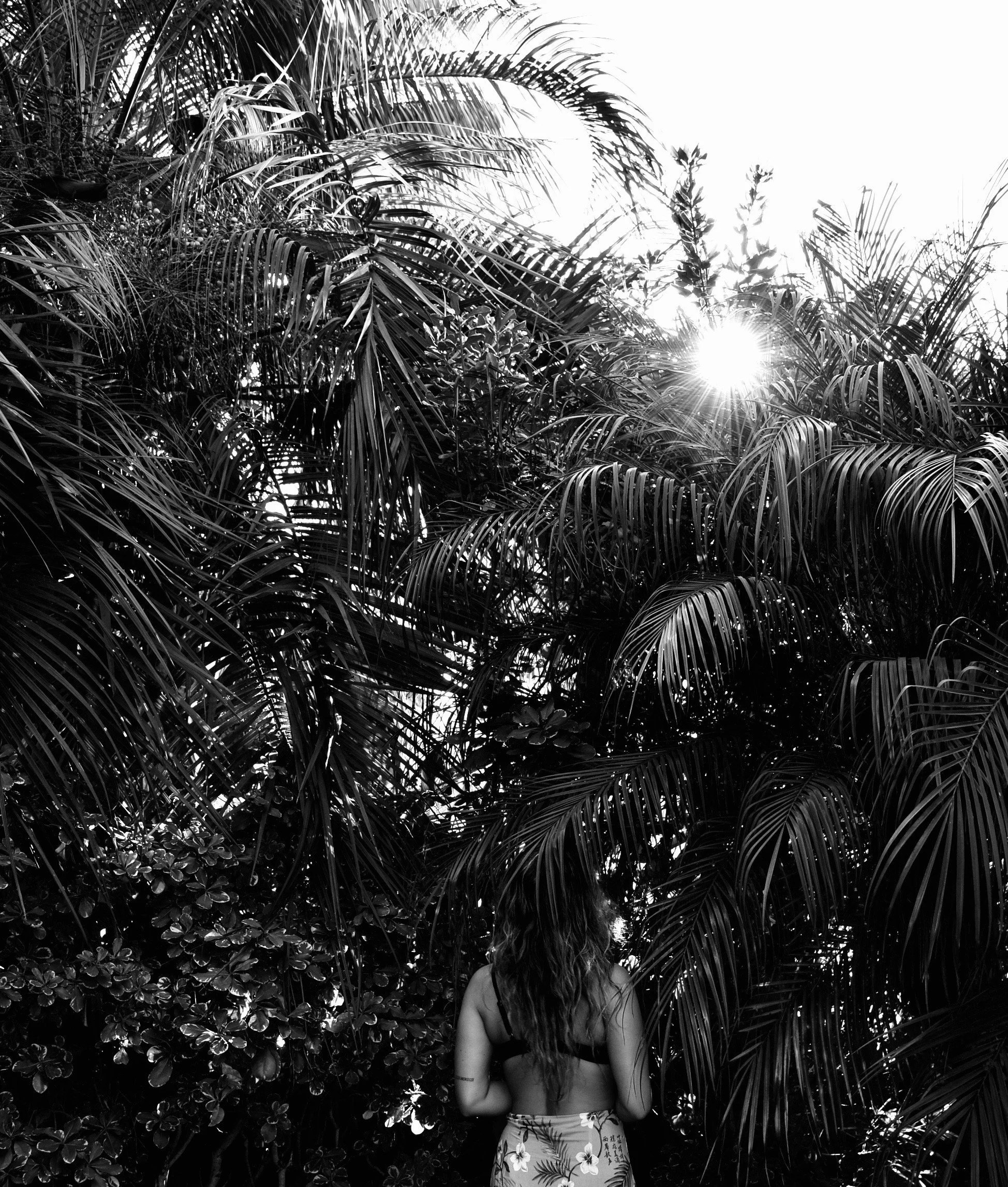 danicabxpalms.jpeg