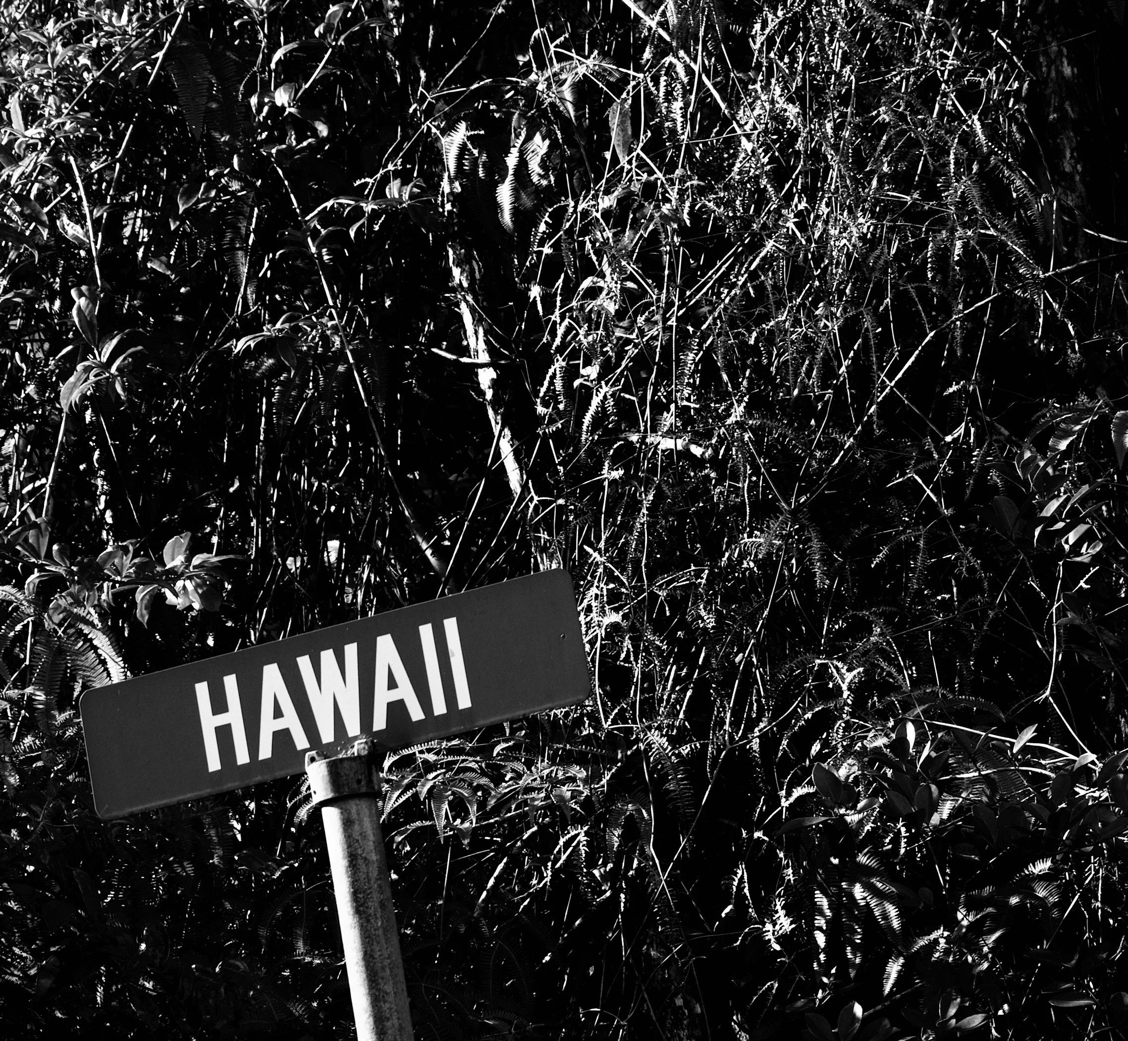 hihawaiisign.jpeg