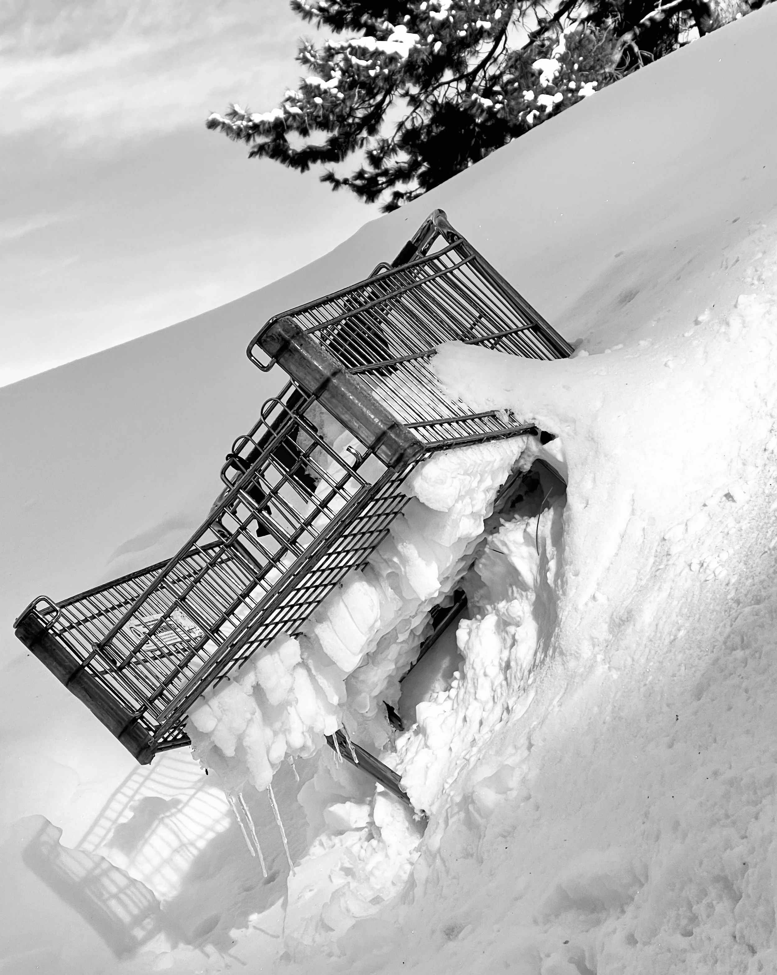 tahoegrocerycart.jpeg