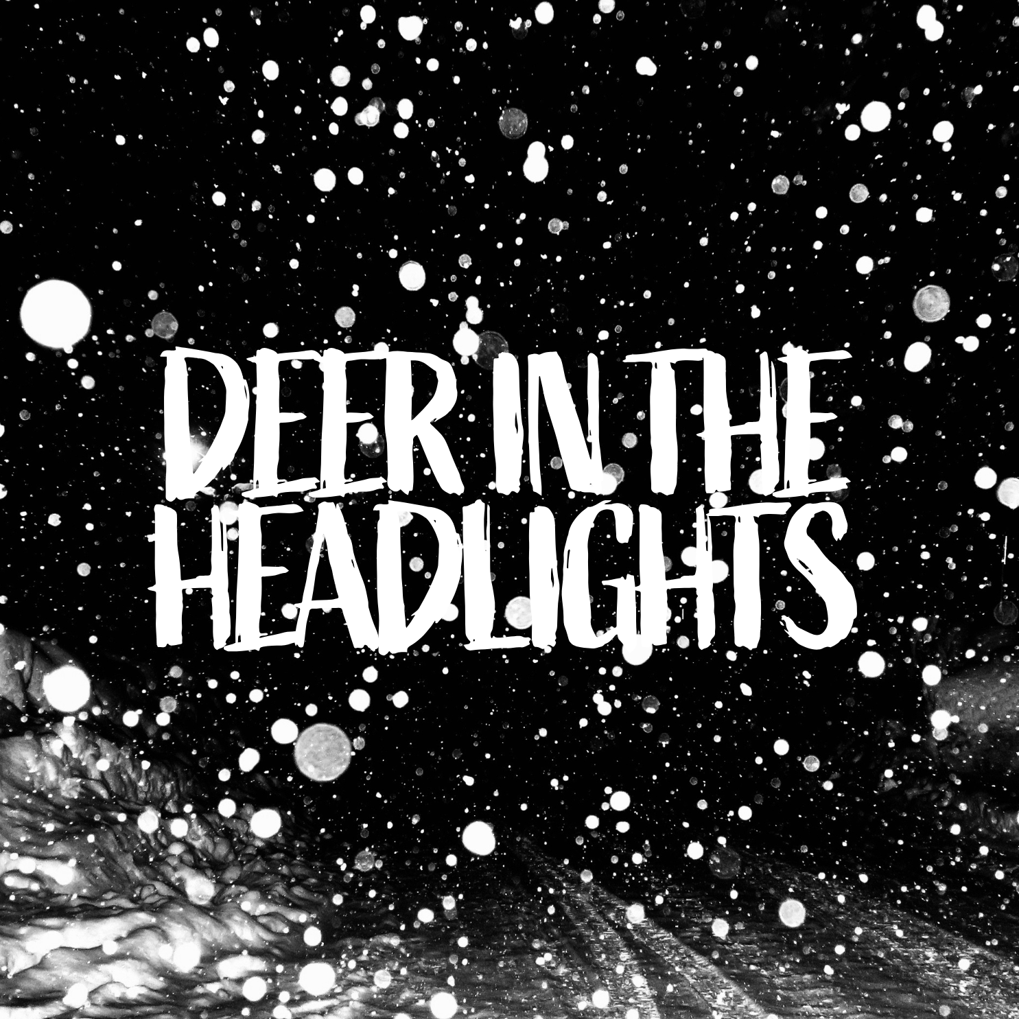 DEERINTHEHEADLIGHTS.png