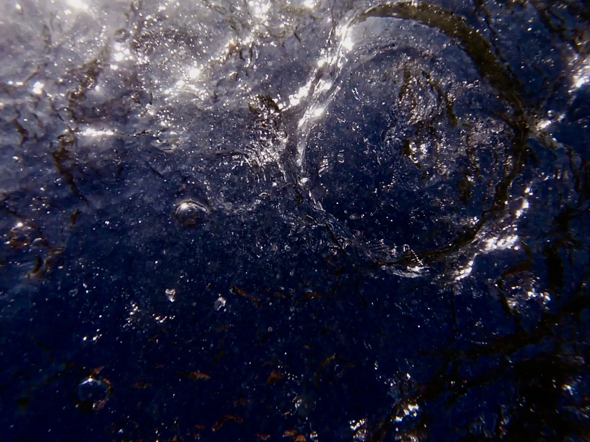 waterdrop.jpeg