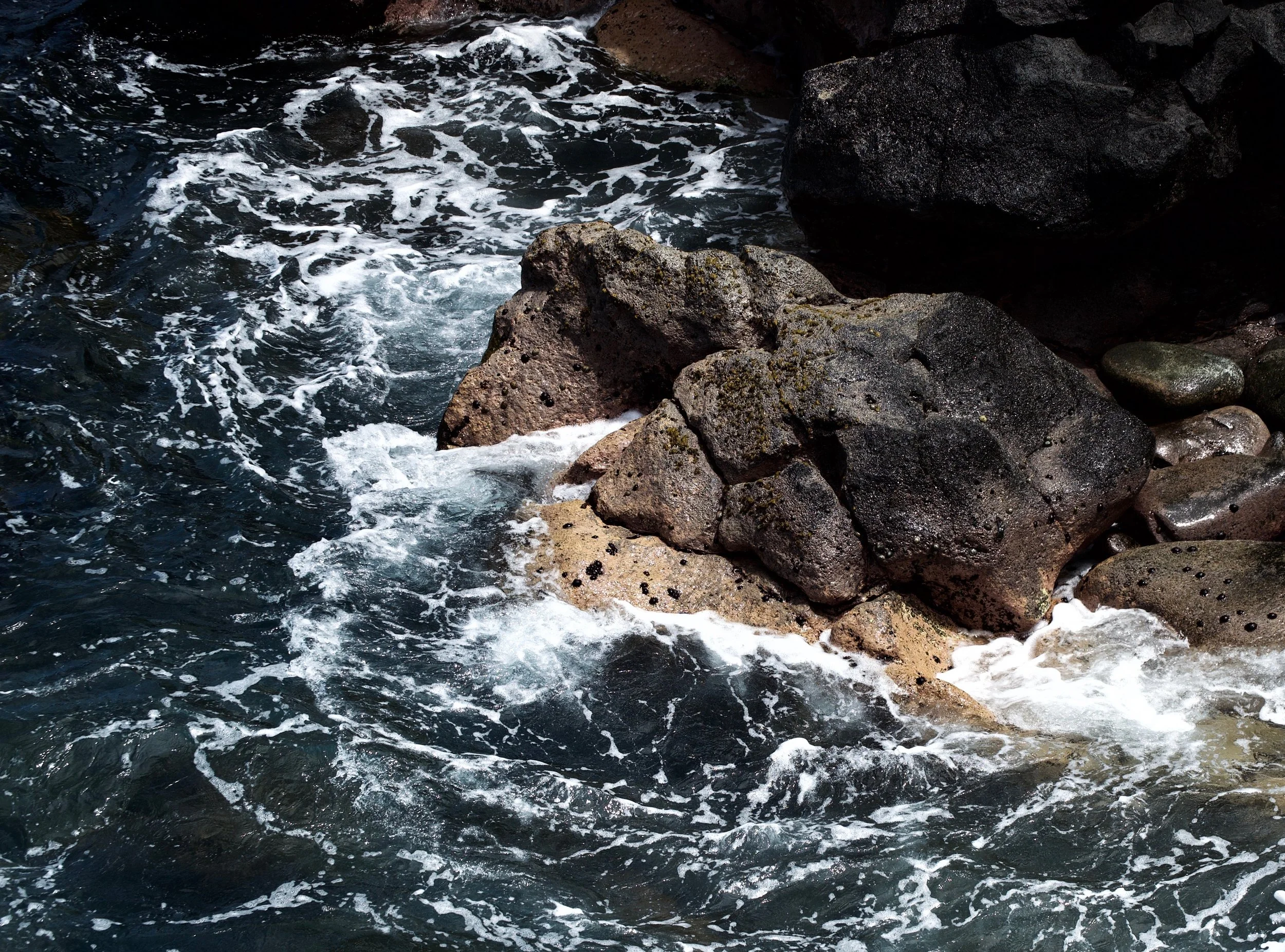 rockyshore.jpeg
