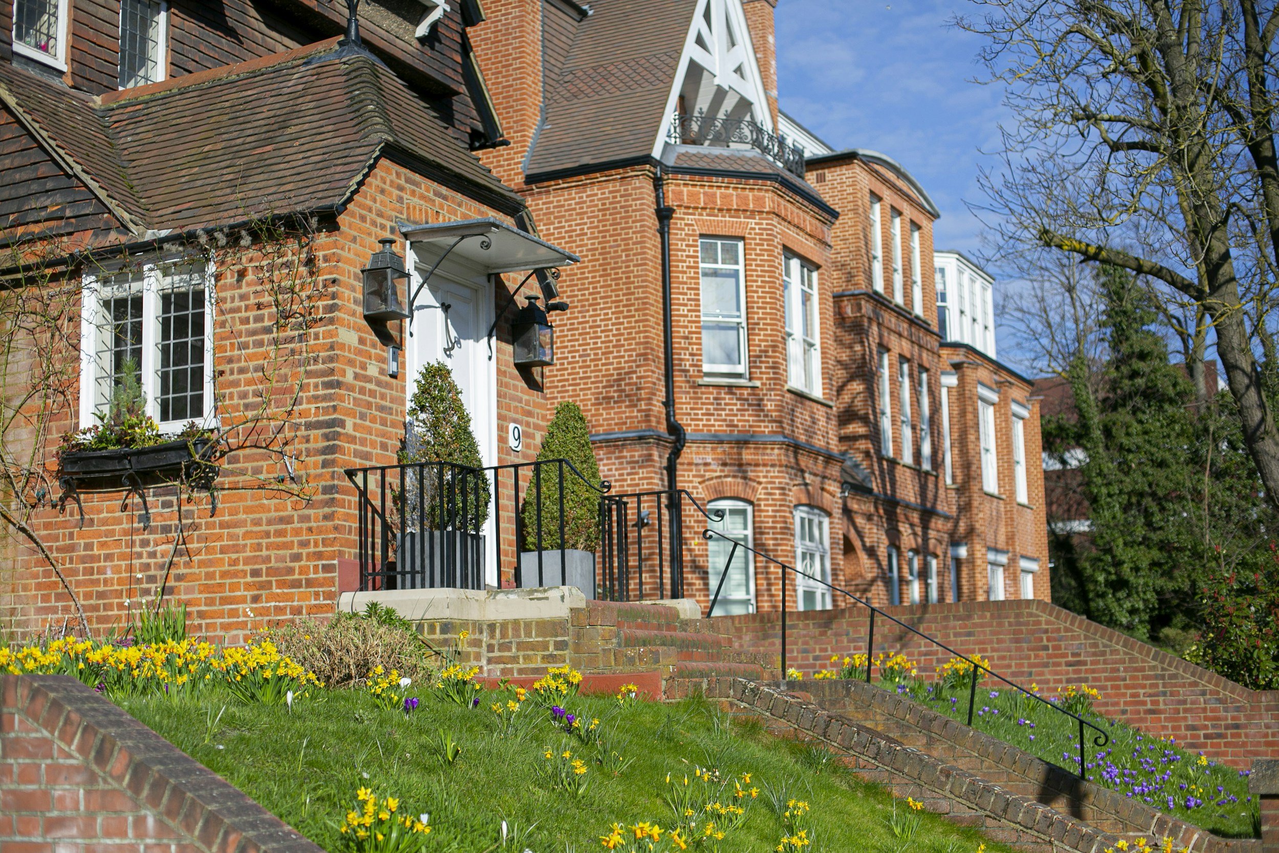 A row of brick houses on a sloped street with a garden of yellow and purple flowers, a green lawn, stairs, and black wrought iron railings. The houses have large windows, some with white frames, and decorative elements like lamps and plant boxes. The sky is clear and blue with trees with little foliage.