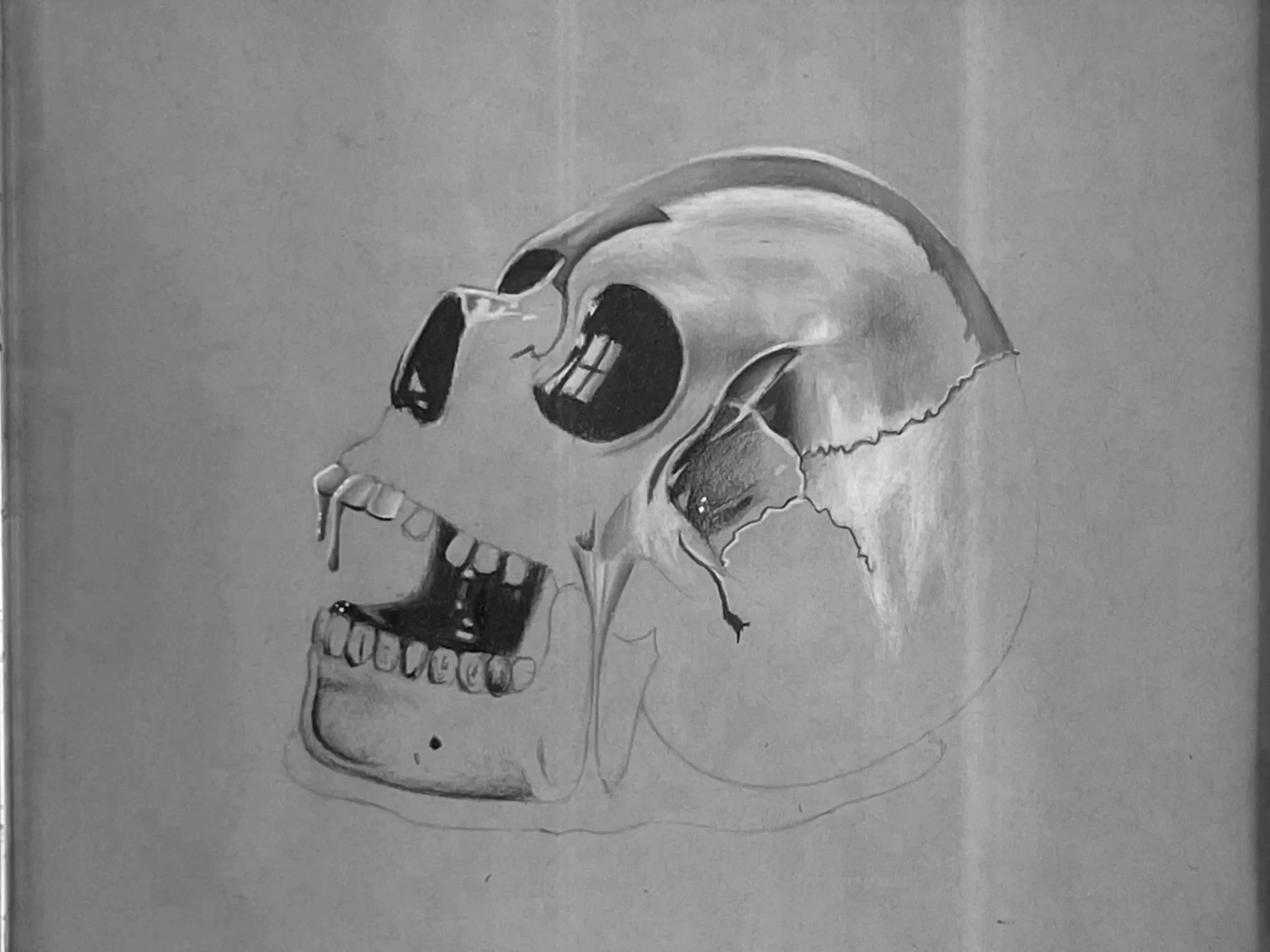 Drawing of a Skull