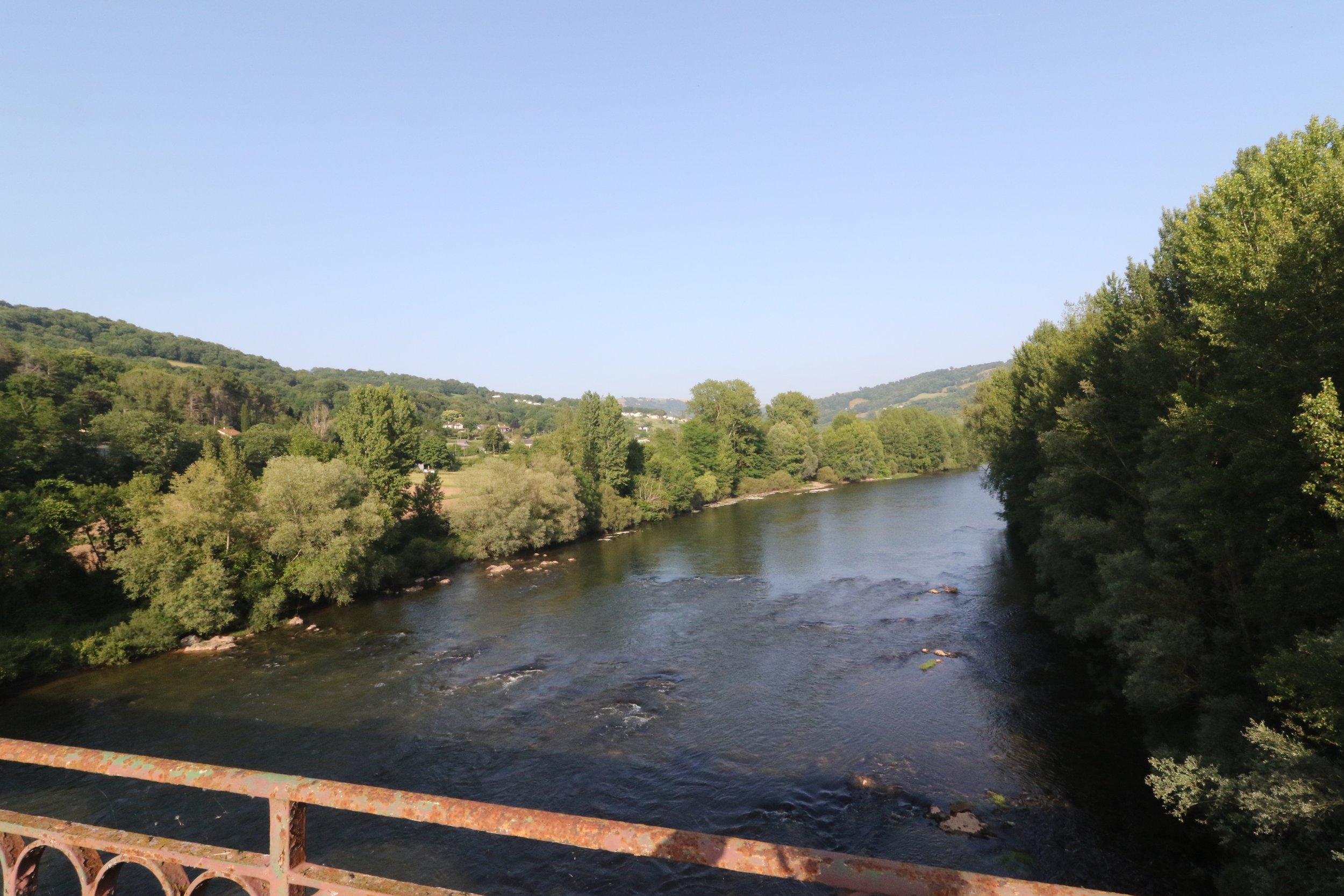 Vue d'une rivière bordée d'arbres verts sous un ciel clair et ensoleillé.
