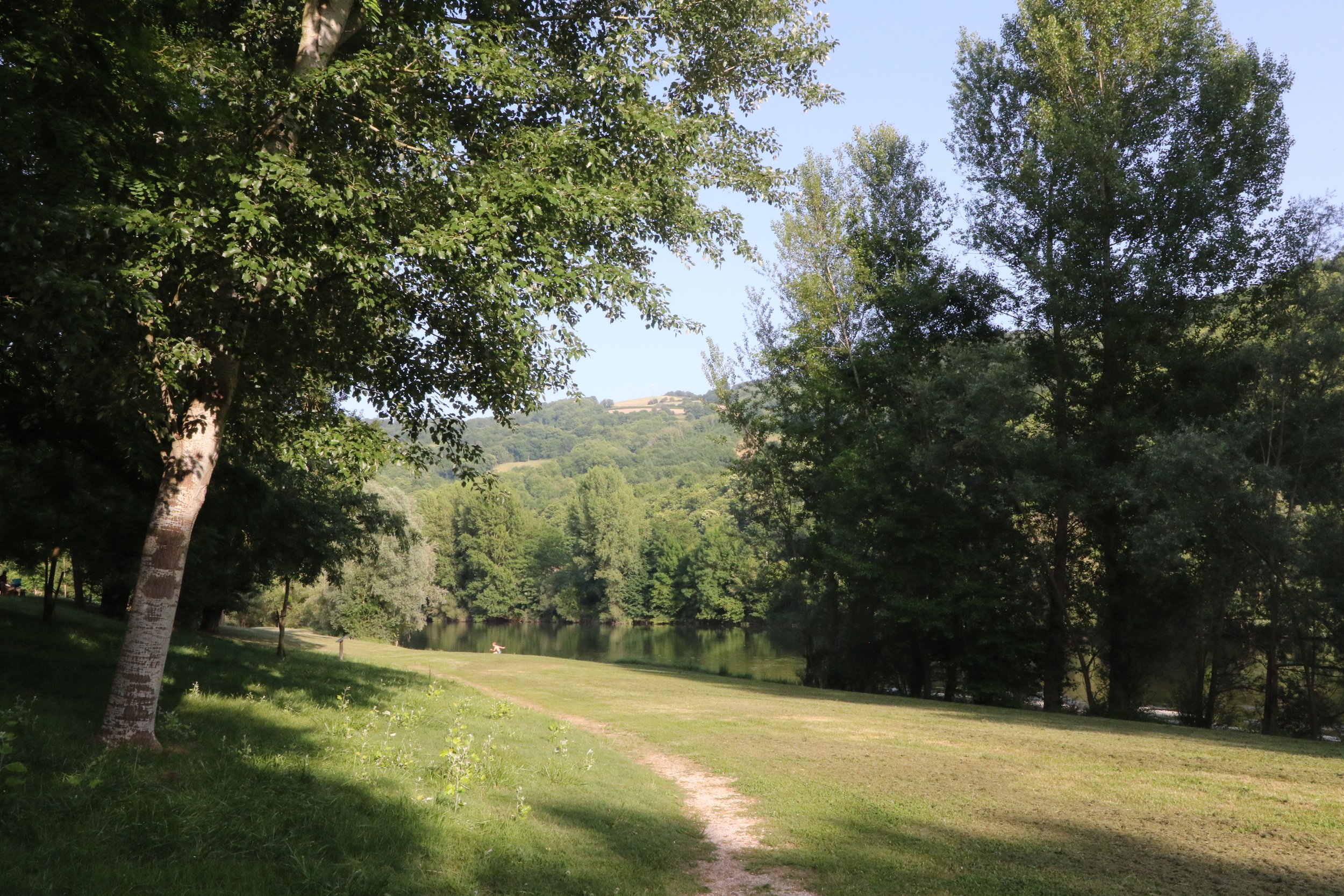 vue d'une rivière bordée d'arbres verts sous un ciel bleu clair, avec un sentier en terre qui passe à travers la pelouse verte